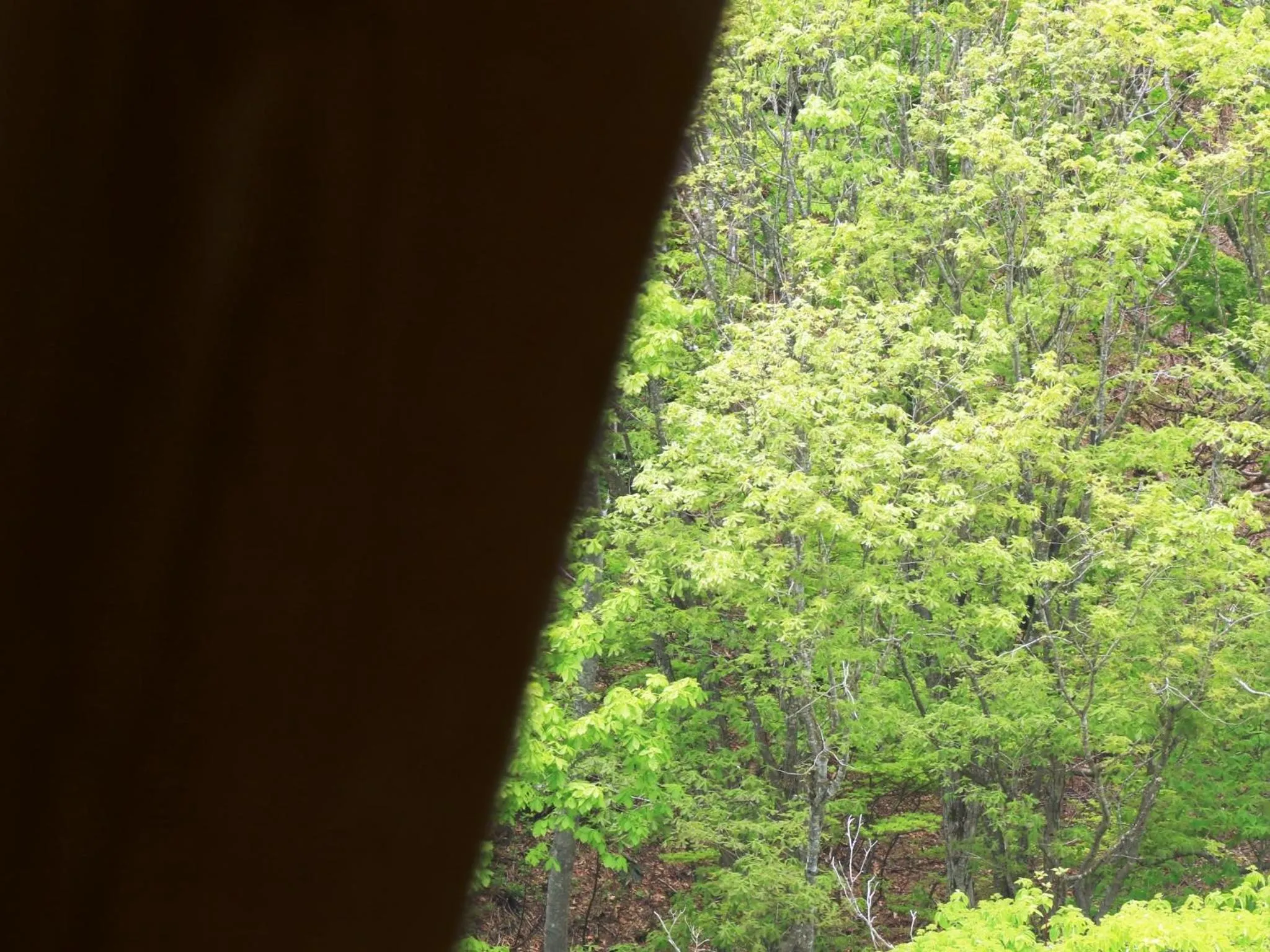 Garden view in Marchen House Madarao