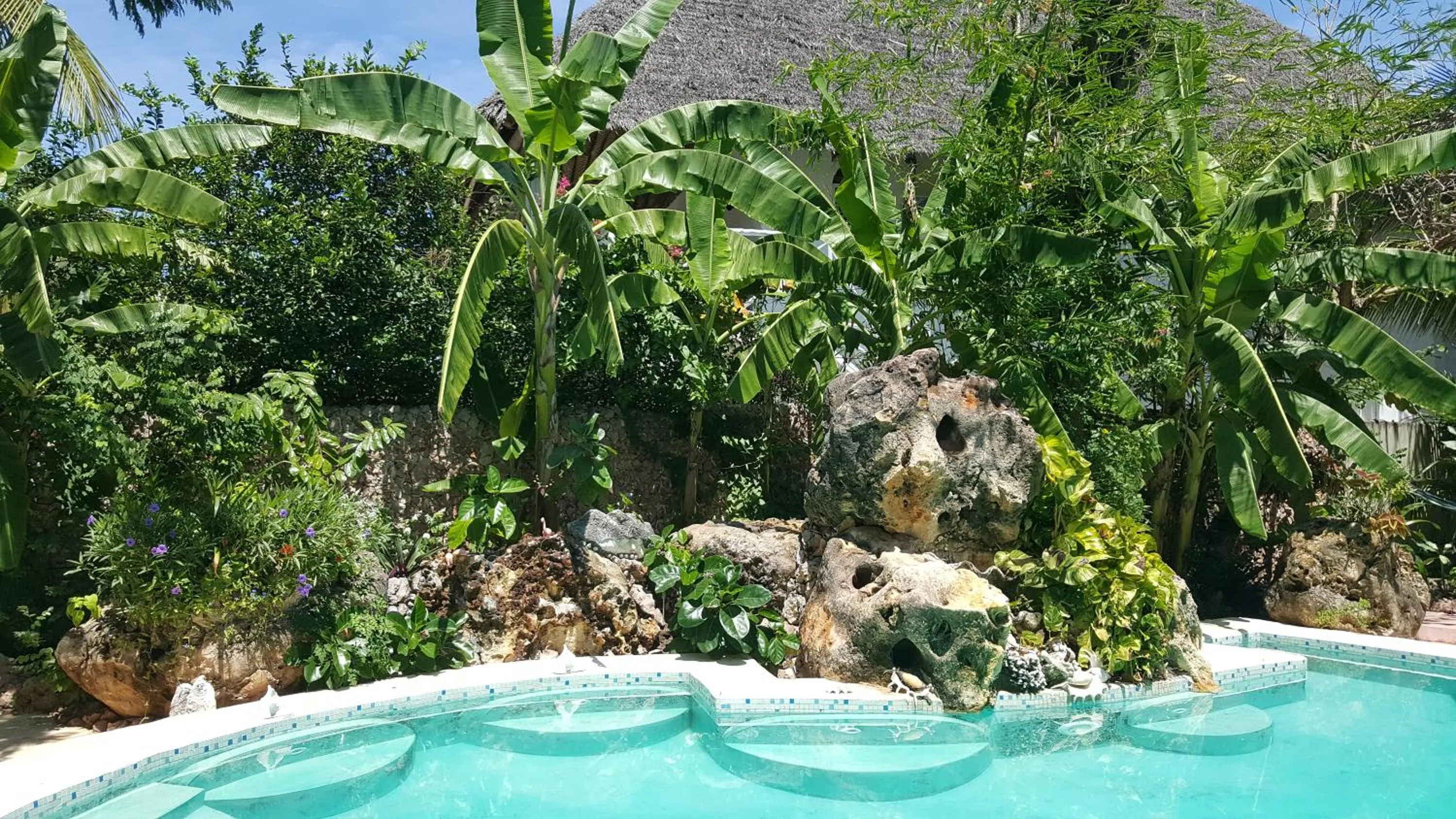 Swimming pool in Mustapha' s Place