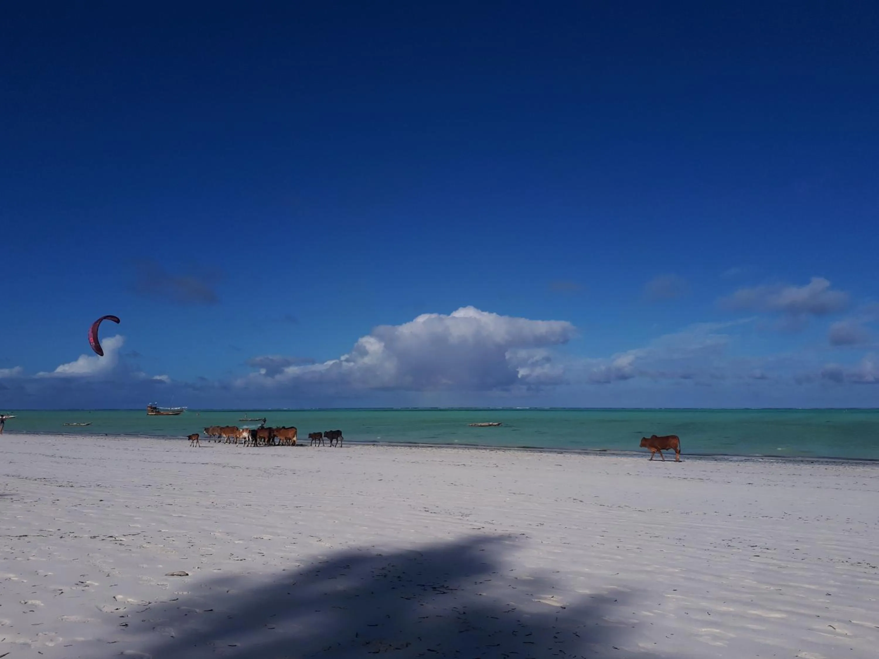 Beach in Mustapha' s Place