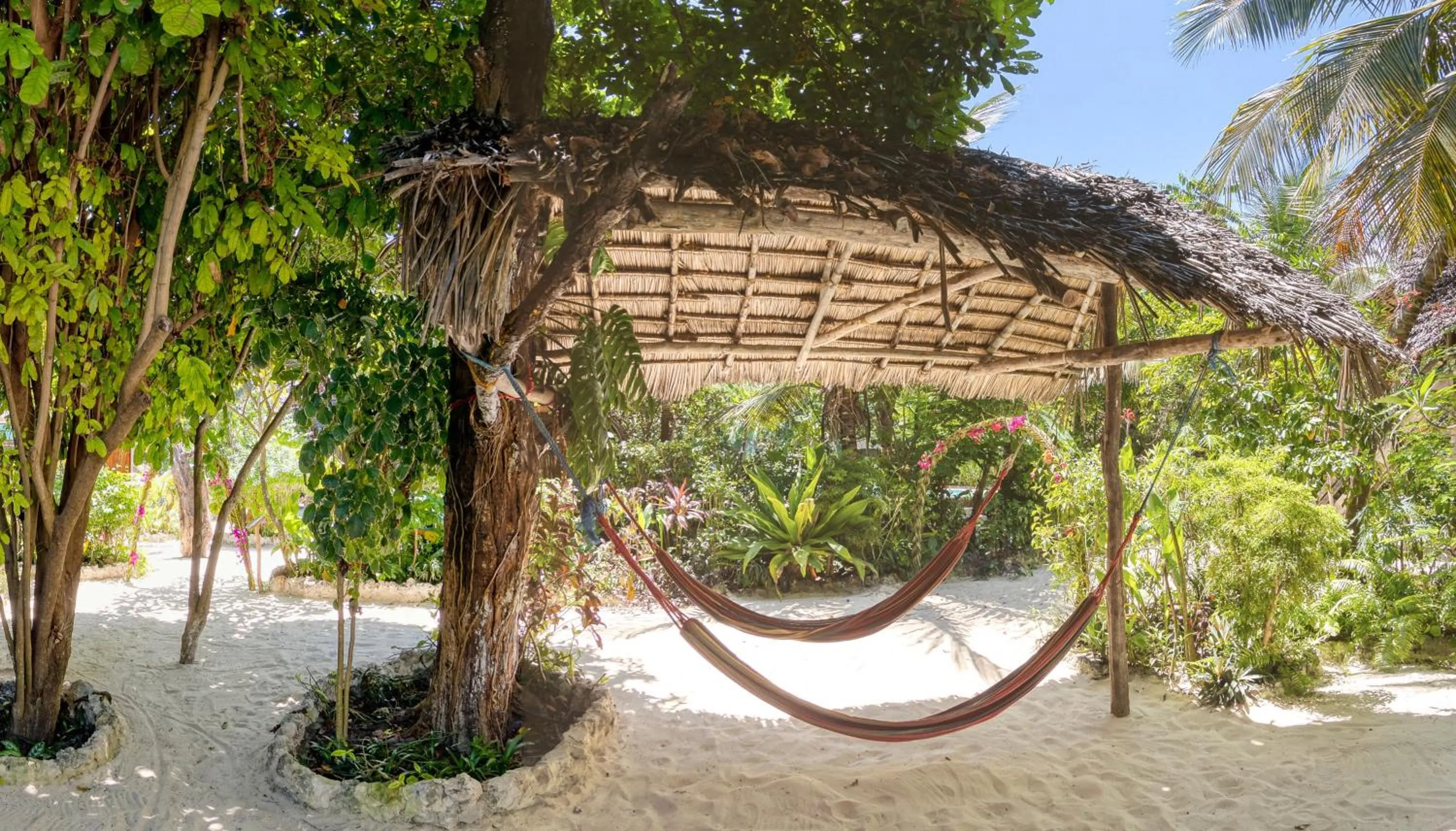 Garden in Mustapha' s Place