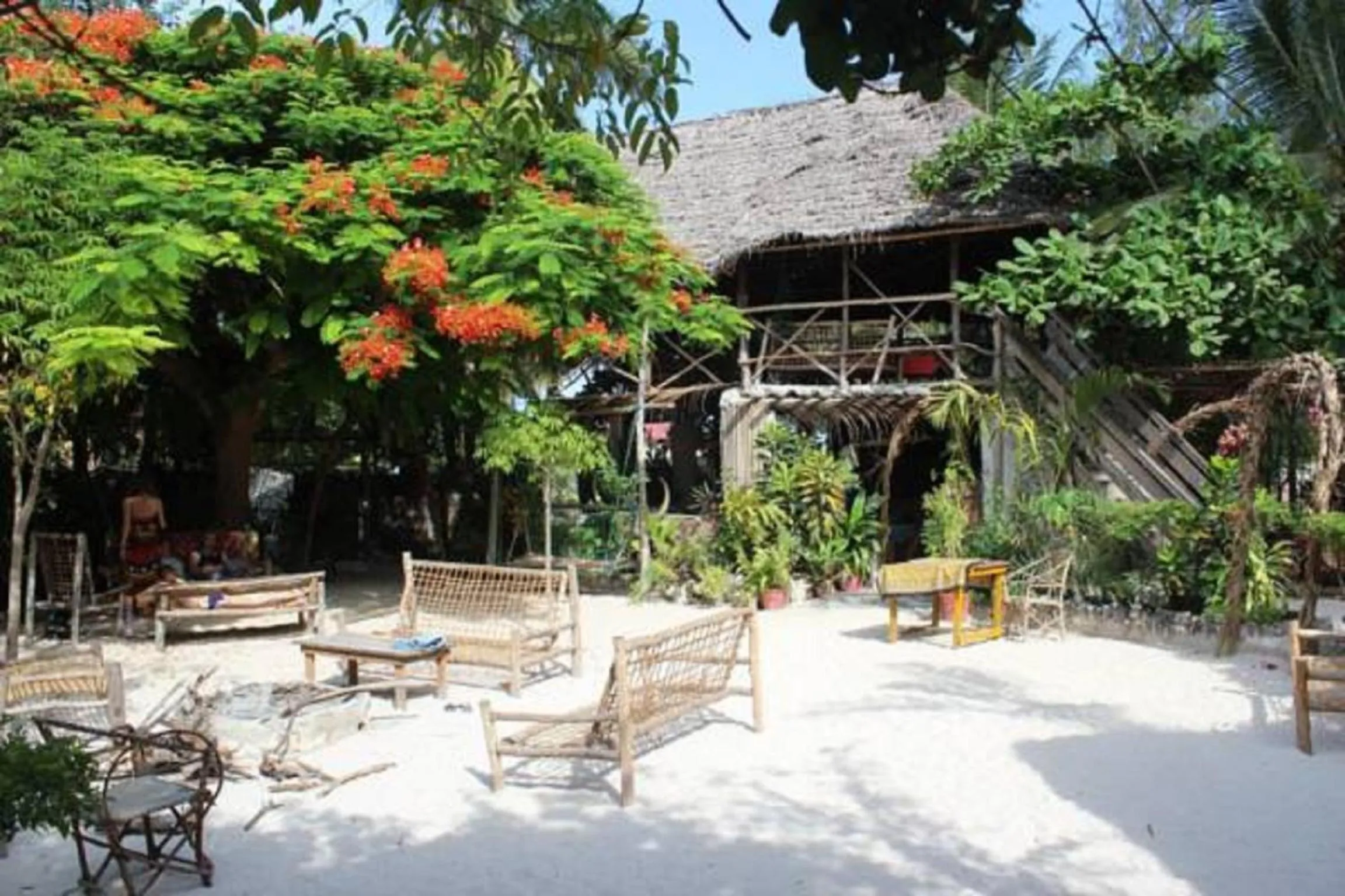 Garden in Mustapha' s Place