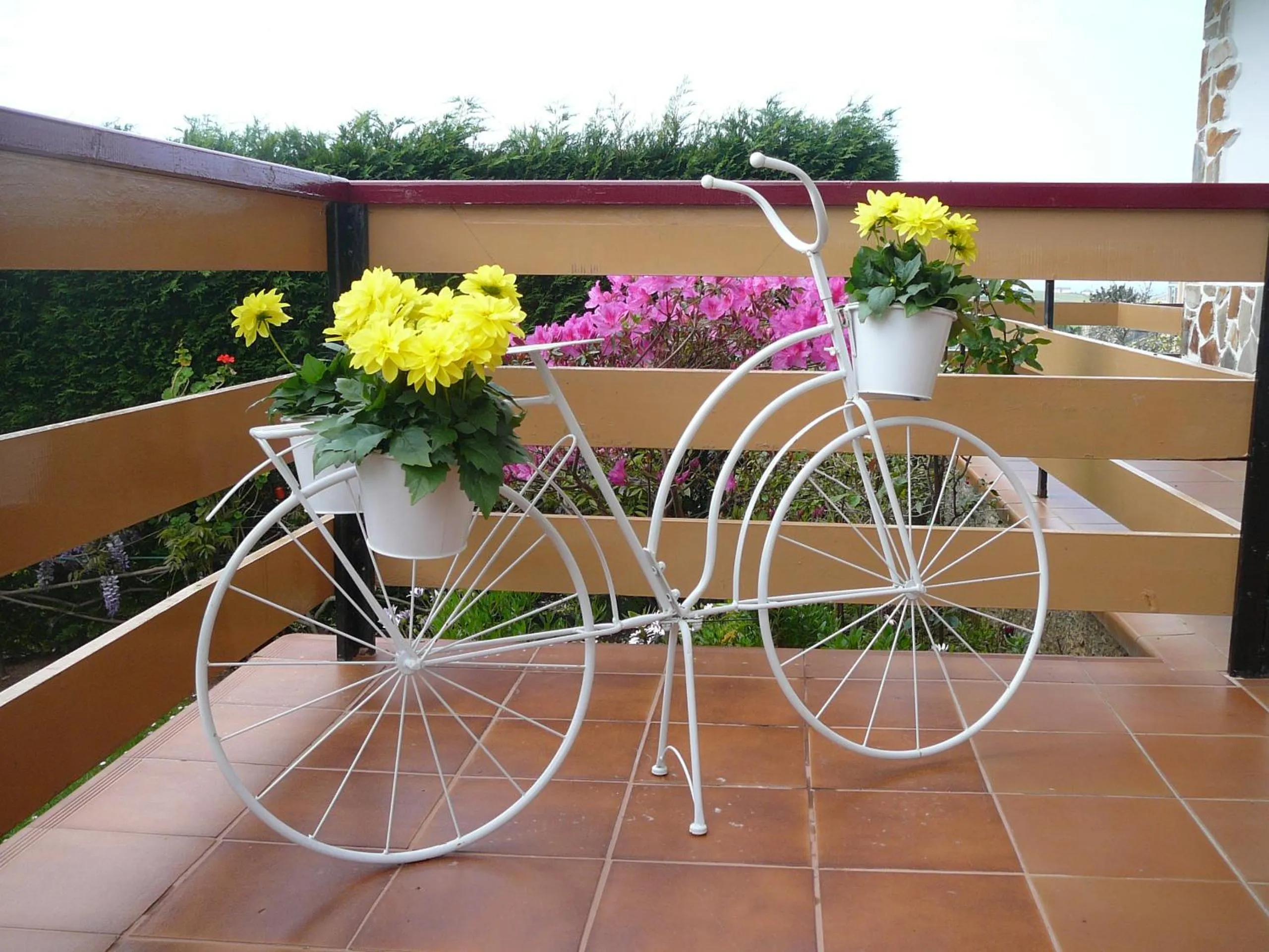 Balcony/Terrace in Hotel el Pinar