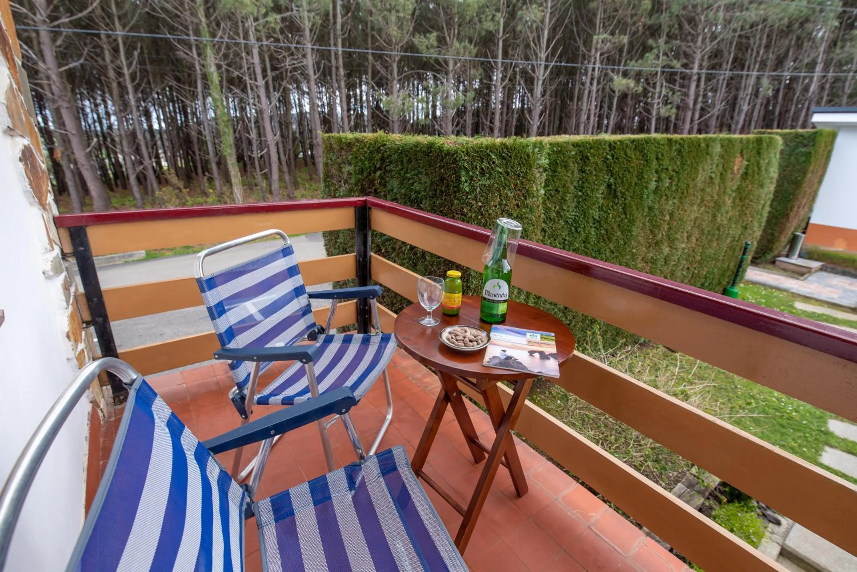 Balcony/Terrace in Hotel el Pinar