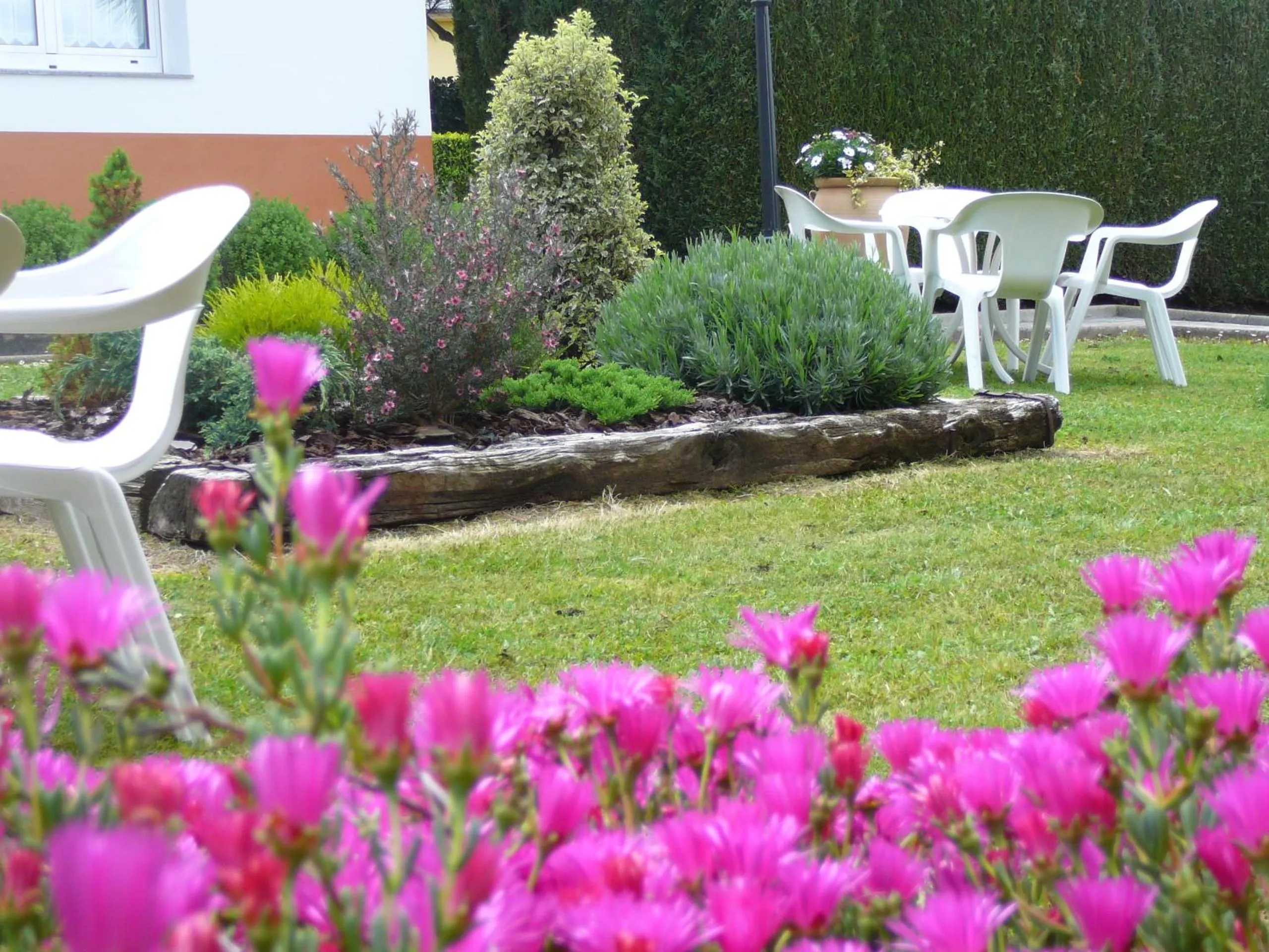 Garden in Hotel el Pinar