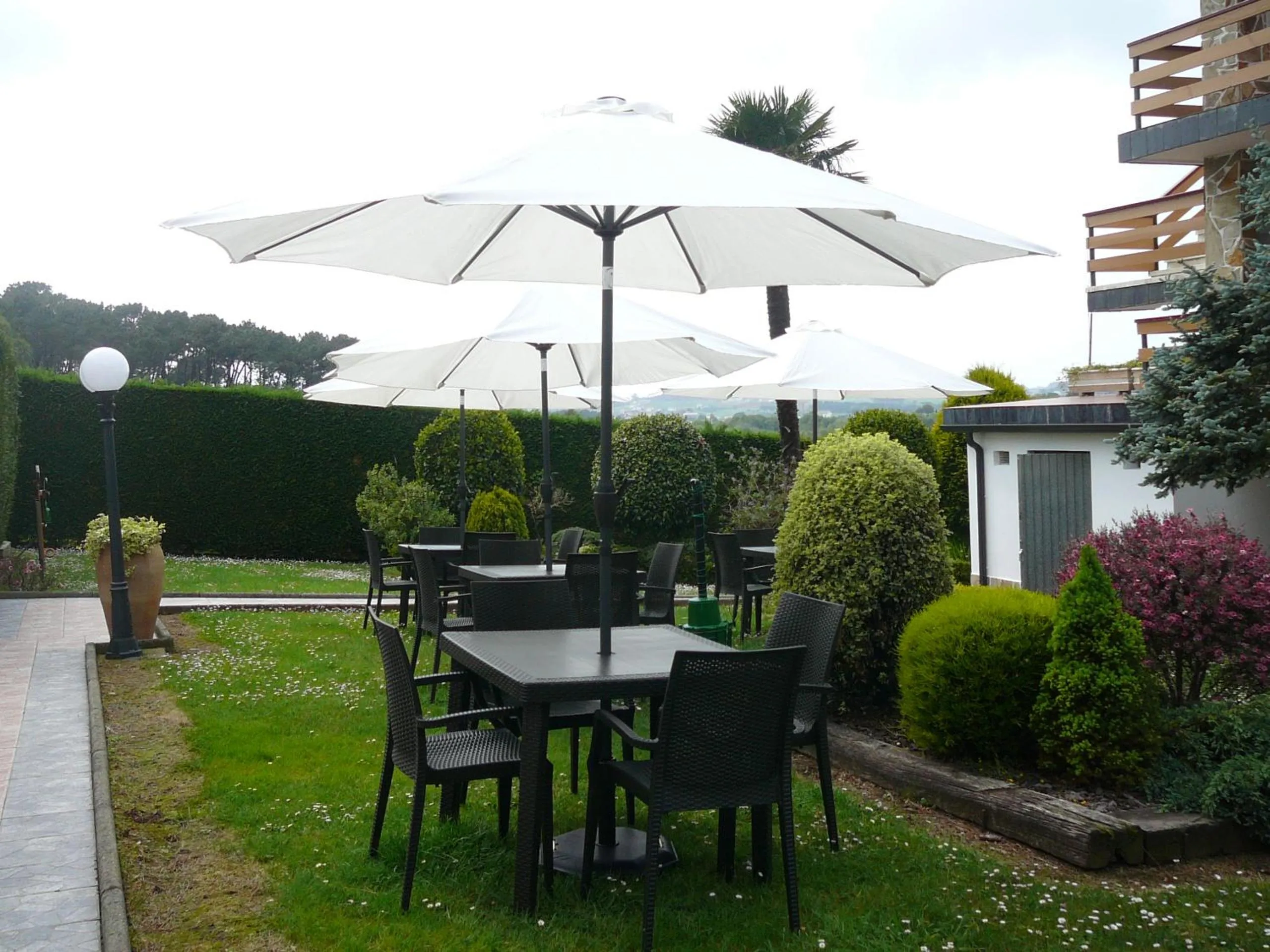 Area and facilities in Hotel el Pinar