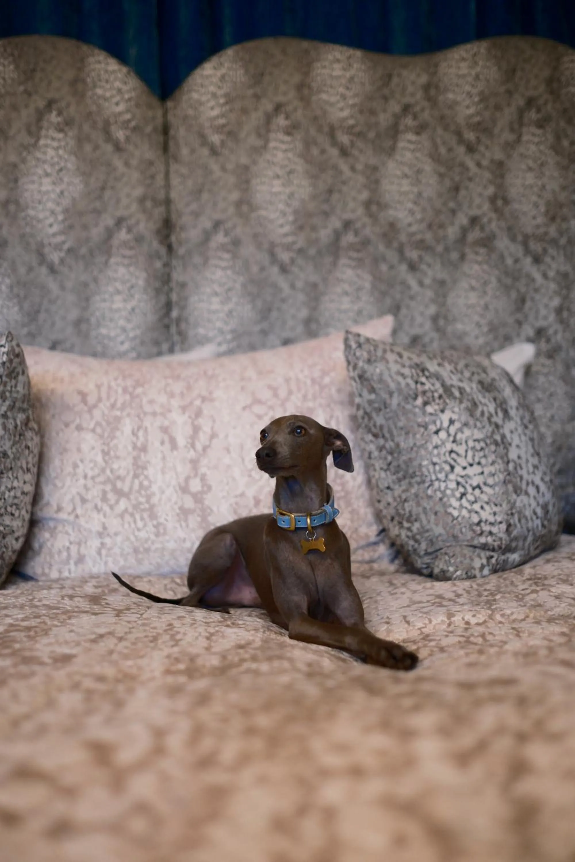 Bedroom in Aria Hotel Budapest by Library Hotel Collection