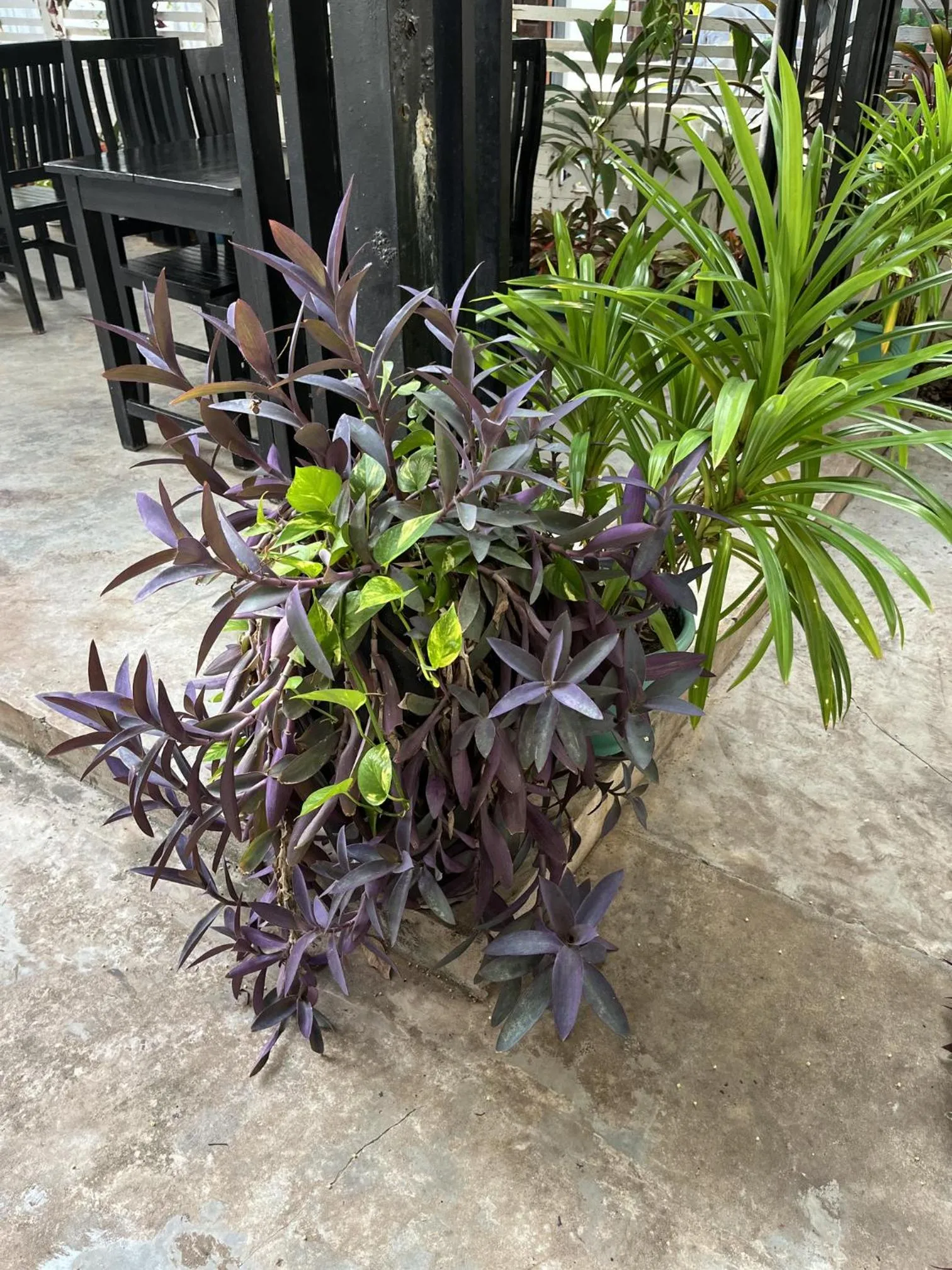 Property building in Home Inn