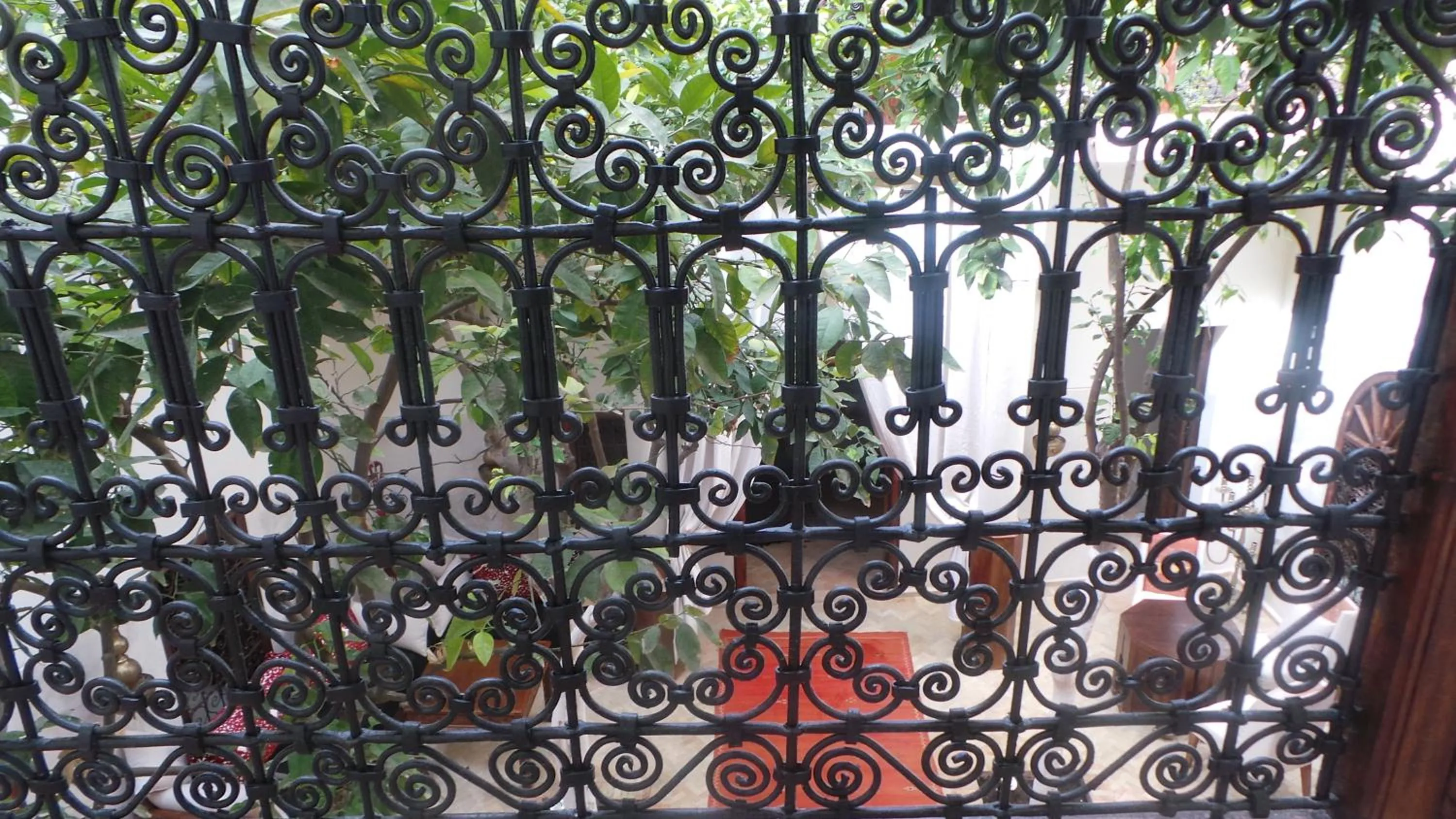 Garden in Riad Maialou & SPA