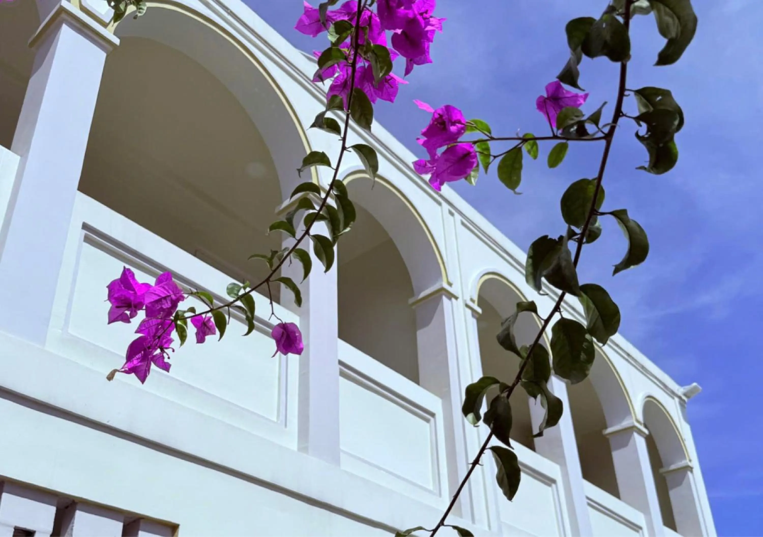 Property building in Le Macaron Garden Stay - City Boutique Hotel Da Lat