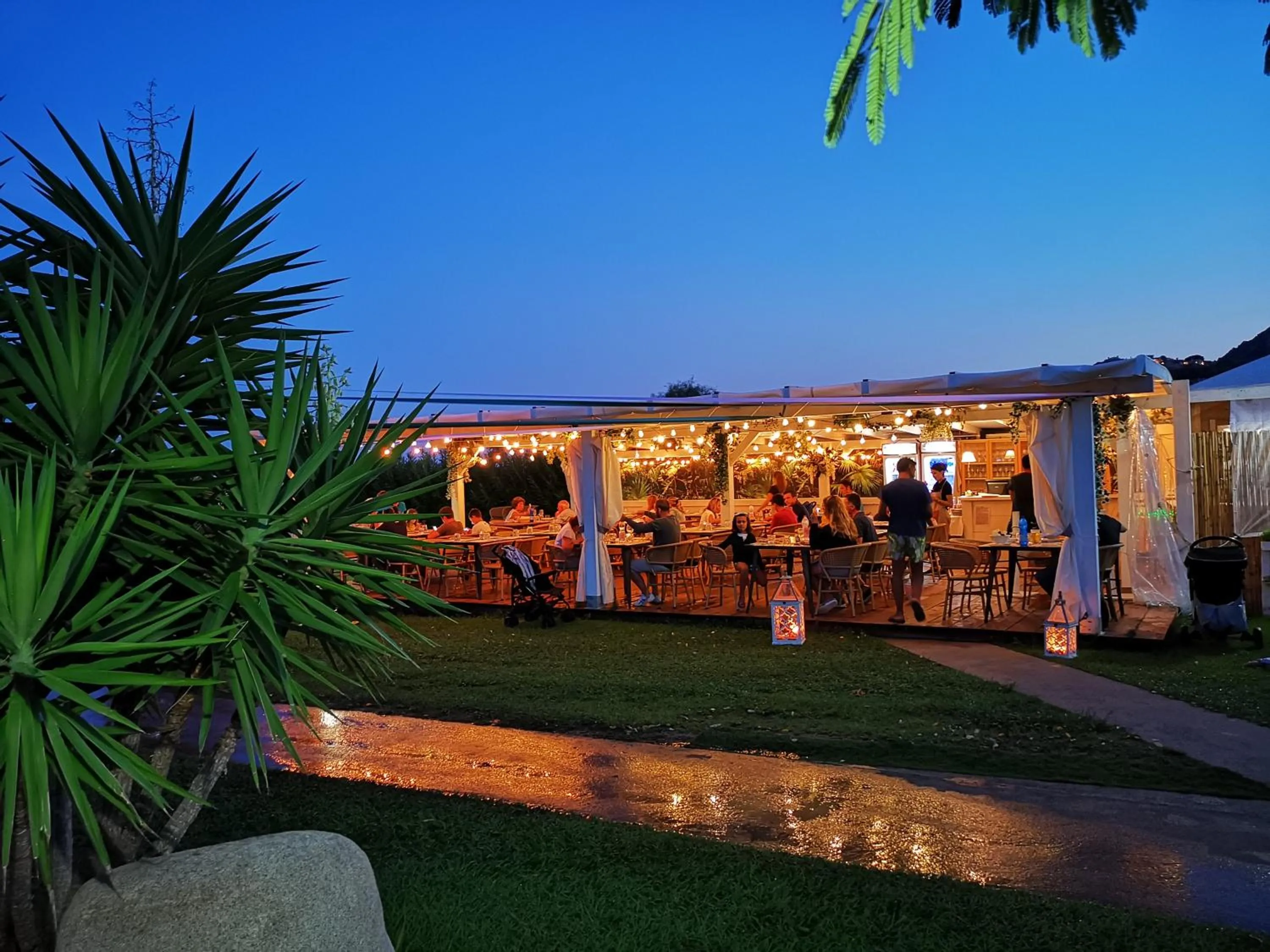 Restaurant/places to eat in Rey beach Club