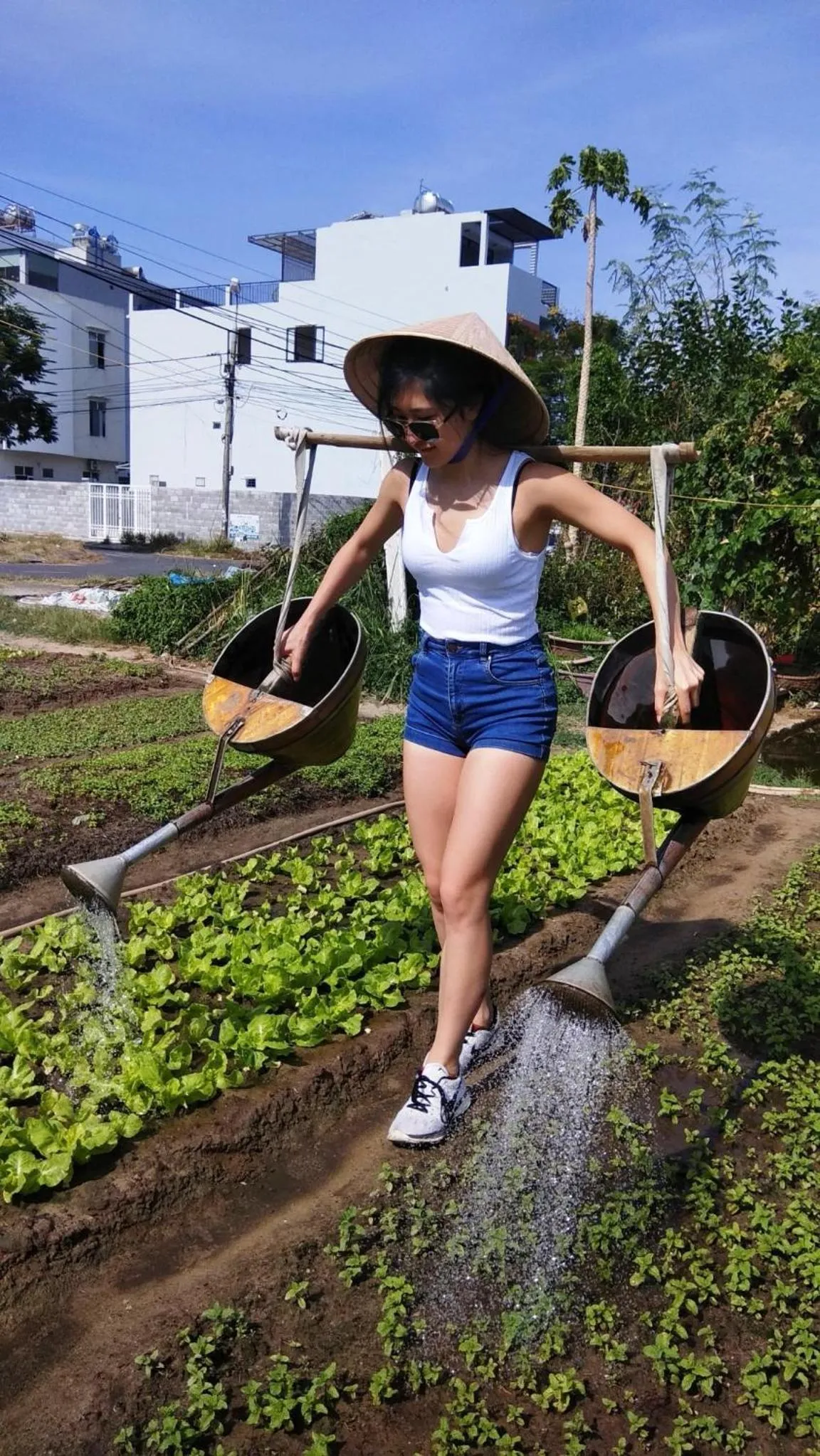 Activities in Jolie Villa Hoi An