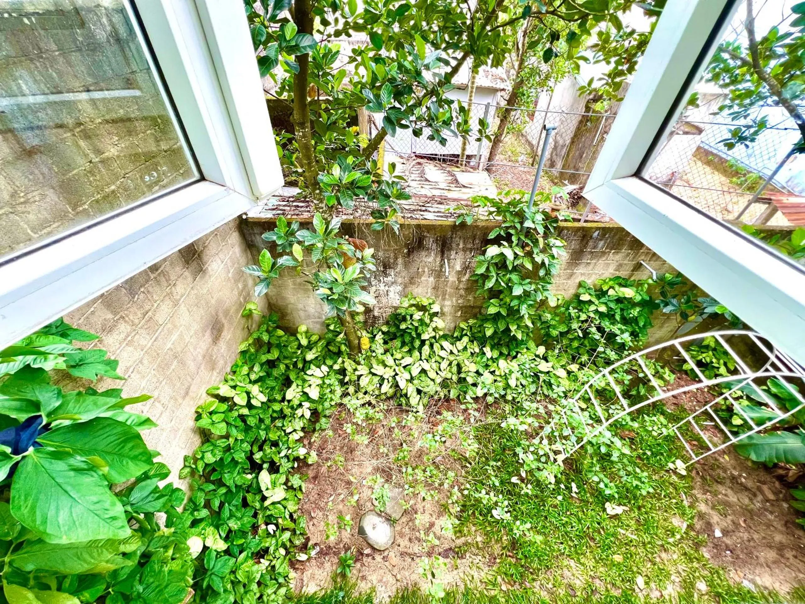 View (from property/room) in Jolie Villa Hoi An