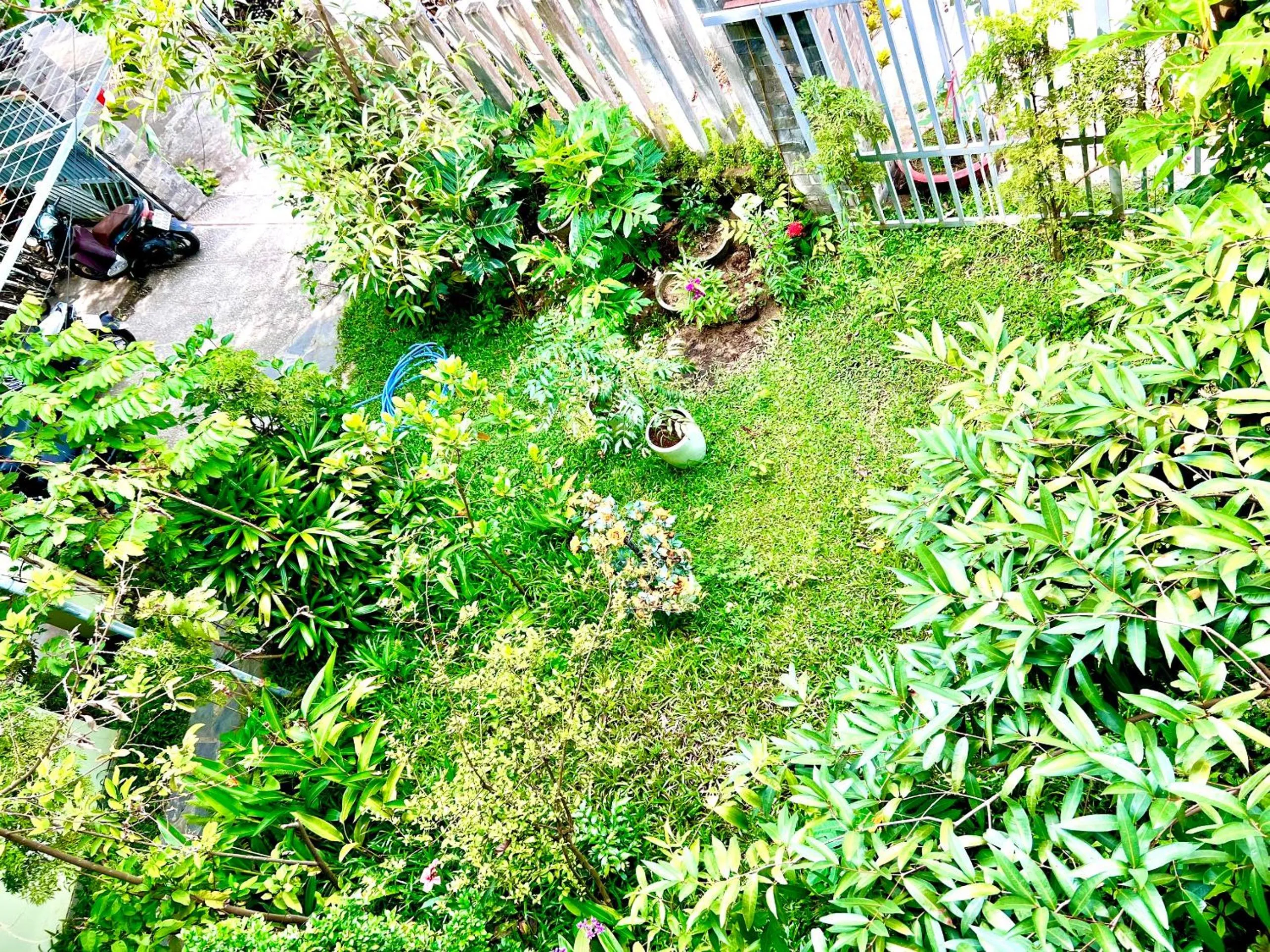 View (from property/room) in Jolie Villa Hoi An