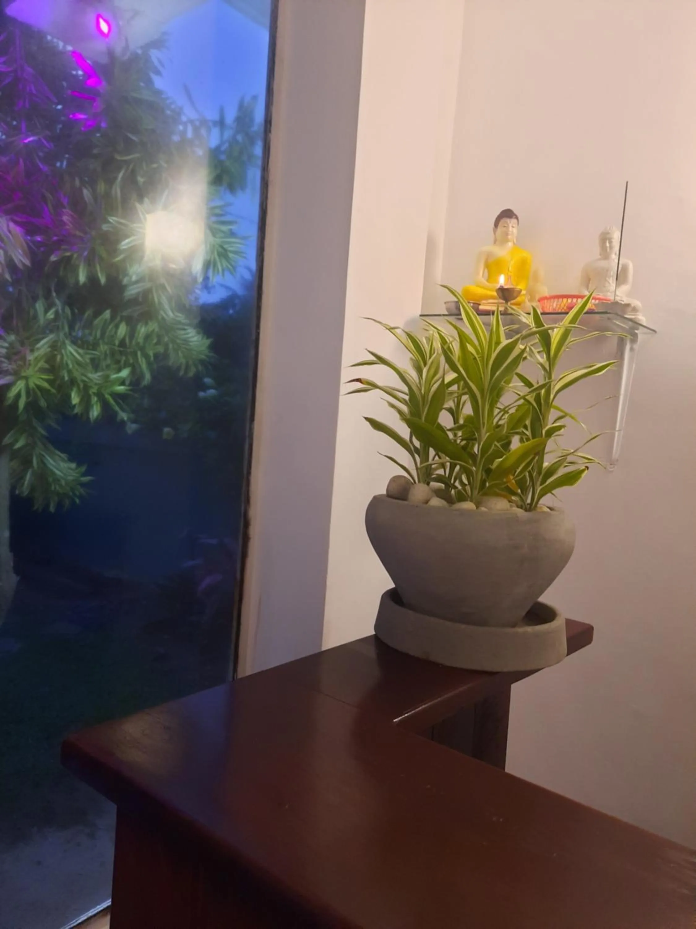 White Surfing Beach Resort