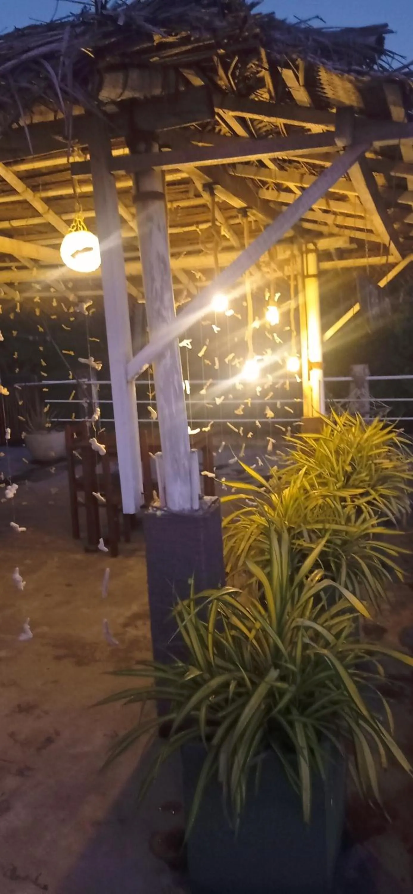 White Surfing Beach Resort