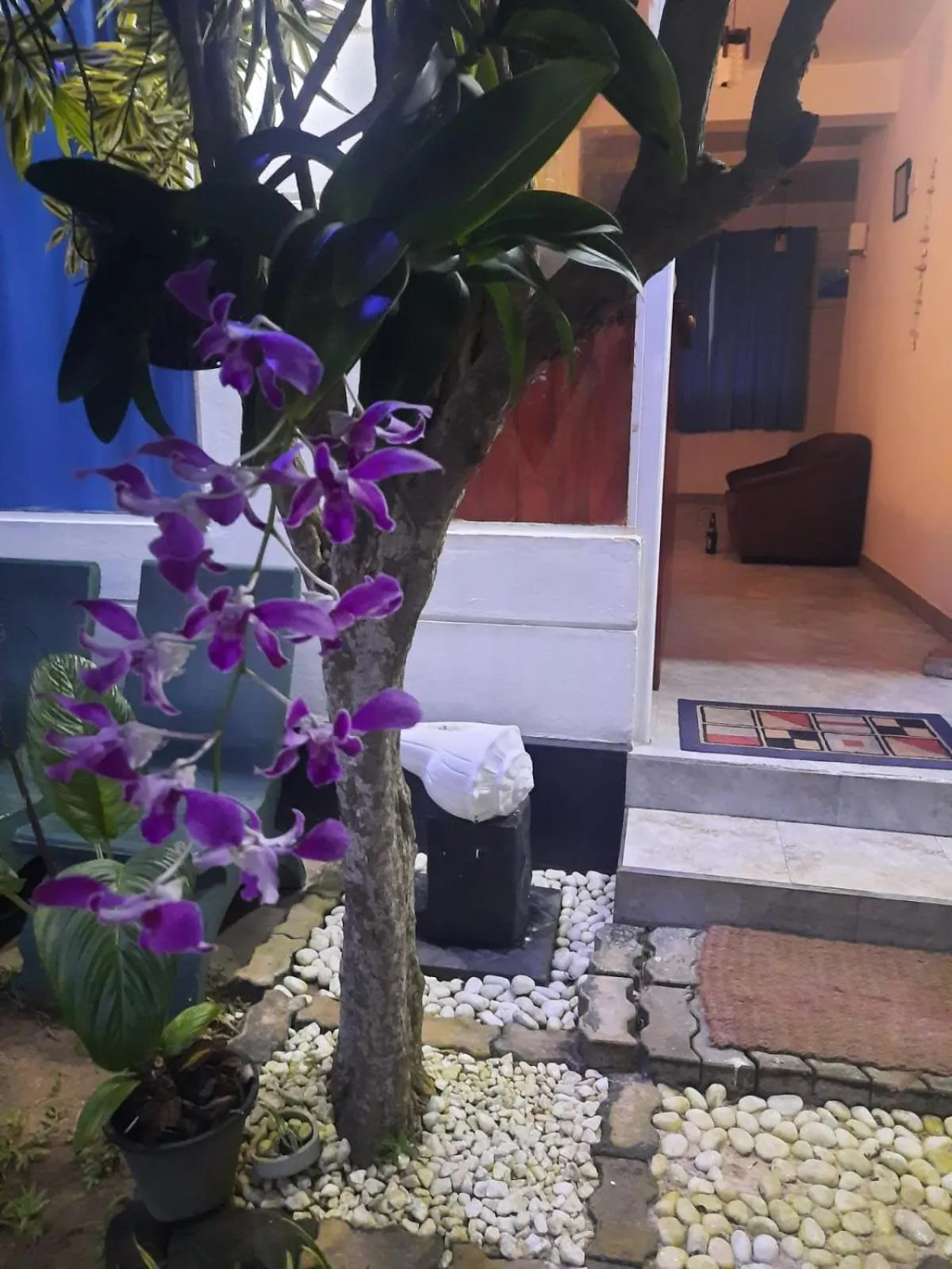 White Surfing Beach Resort