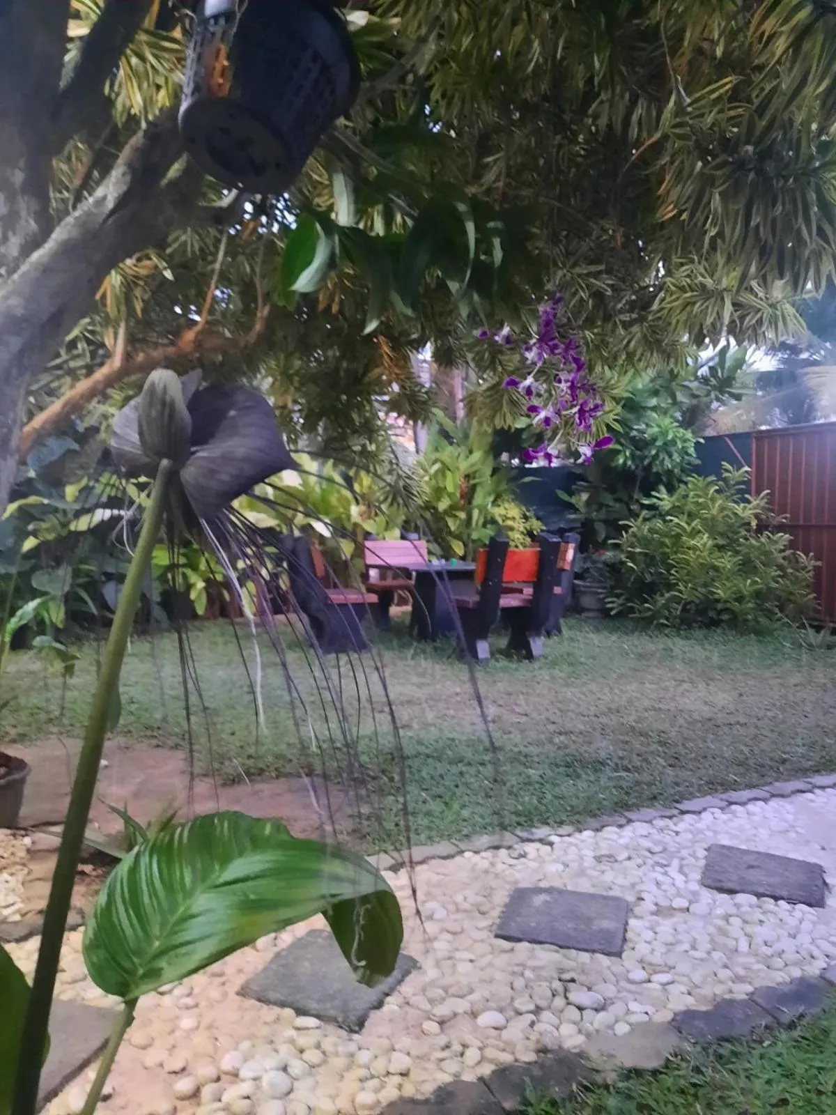 White Surfing Beach Resort