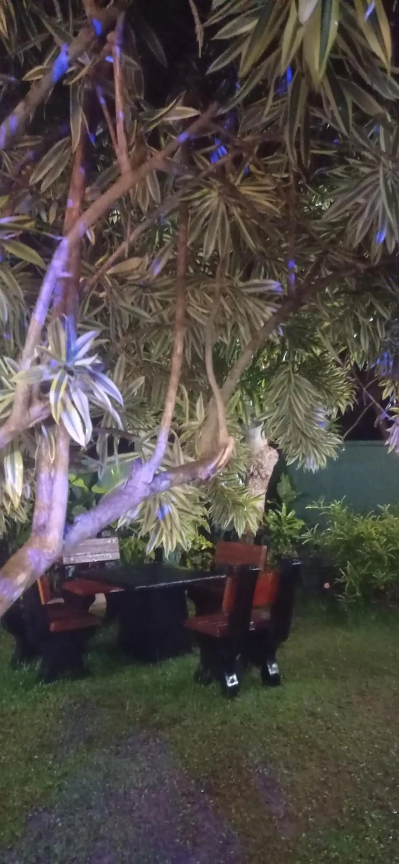 White Surfing Beach Resort