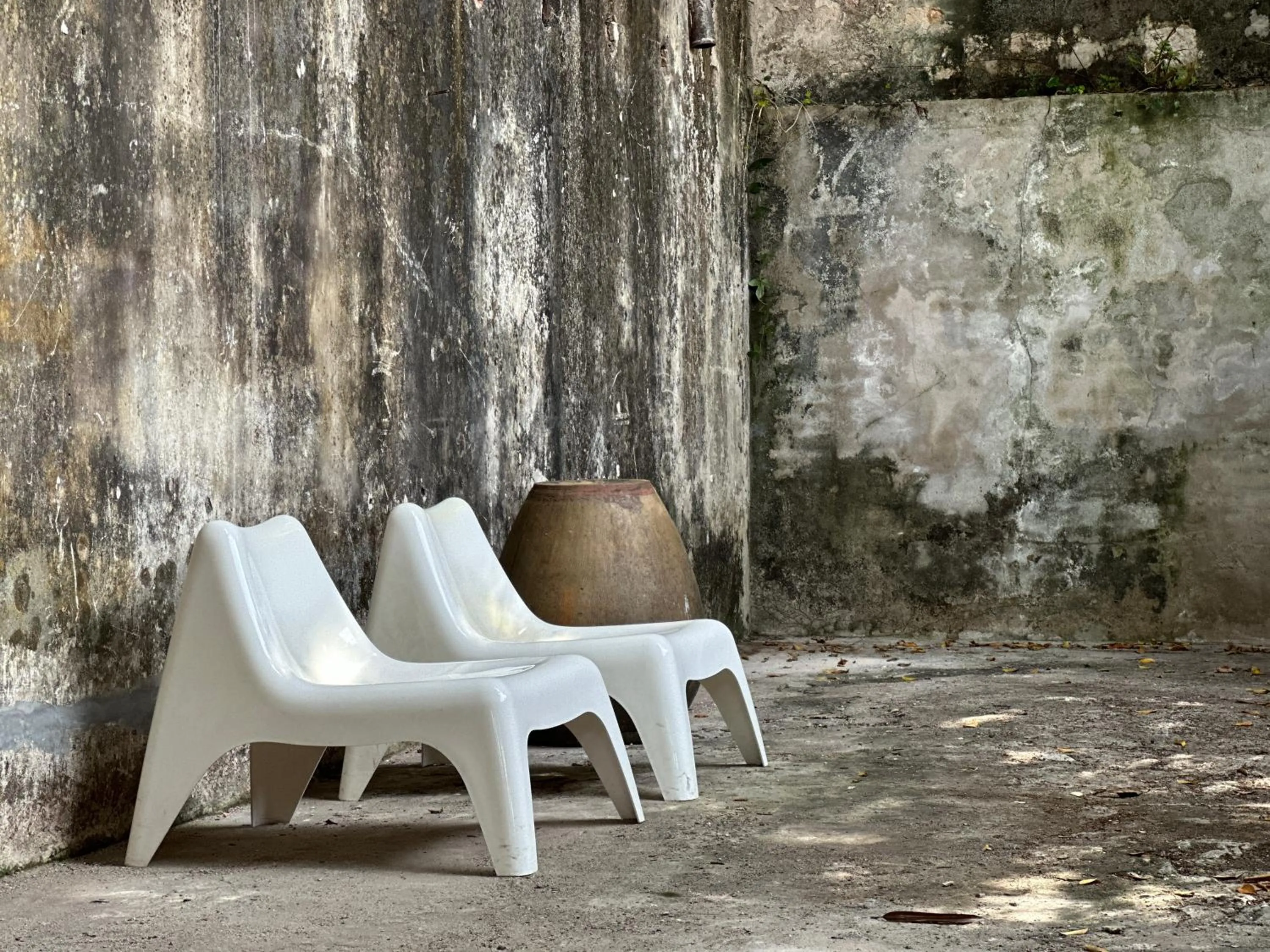 Garden in The Frame Guesthouse