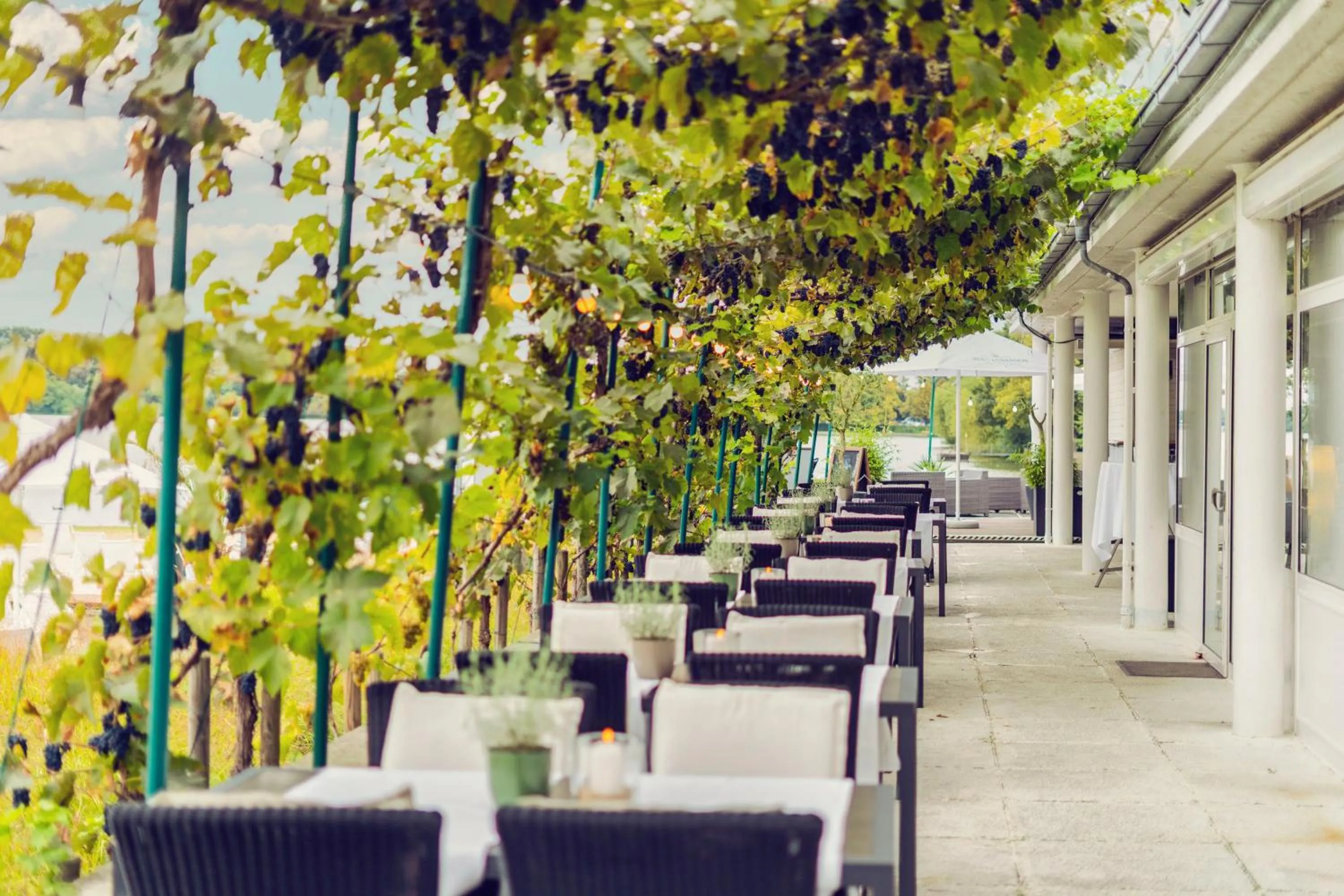 Balcony/Terrace in Aspria Hannover Maschsee Sport & Spa