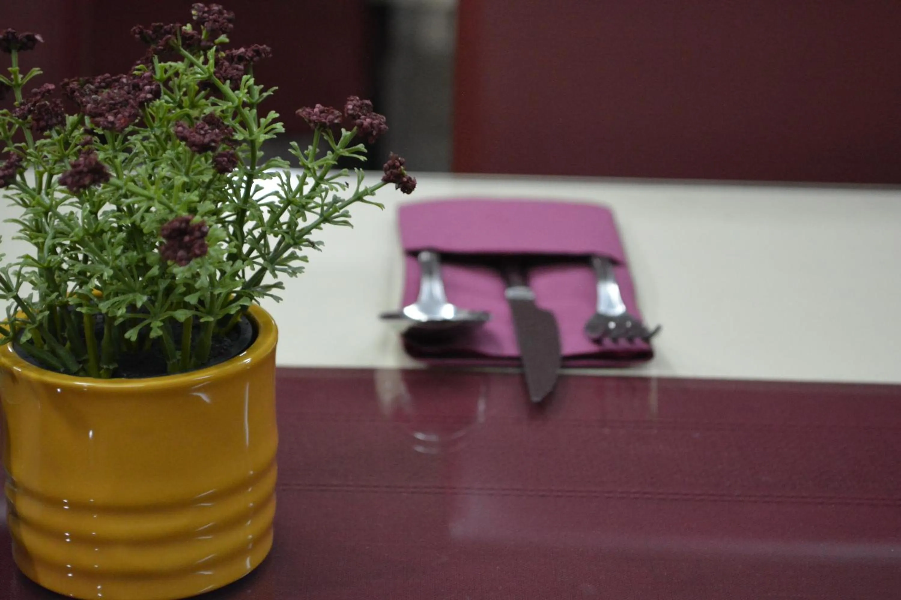 Restaurant/places to eat in Hotel Quattro Medjugorje