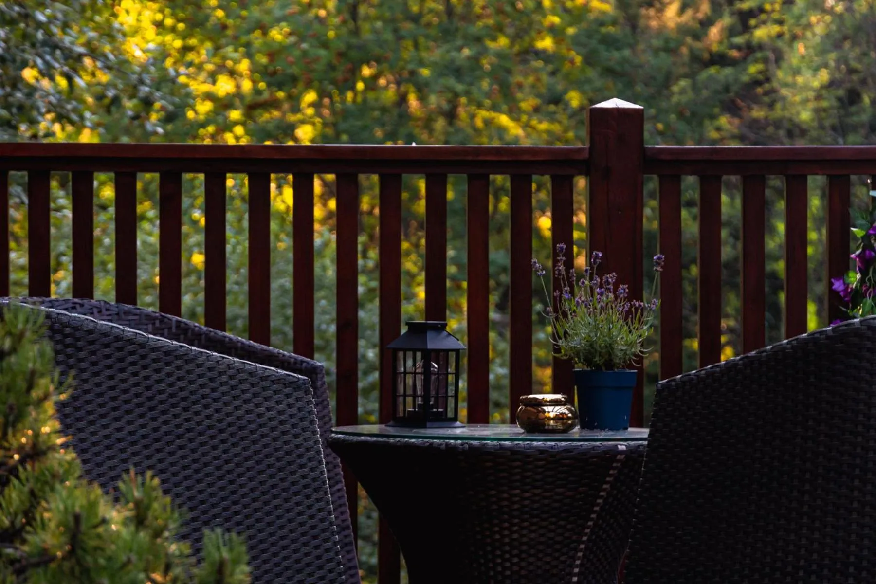 Garden in Apartamenty Silva Szklarska Poręba