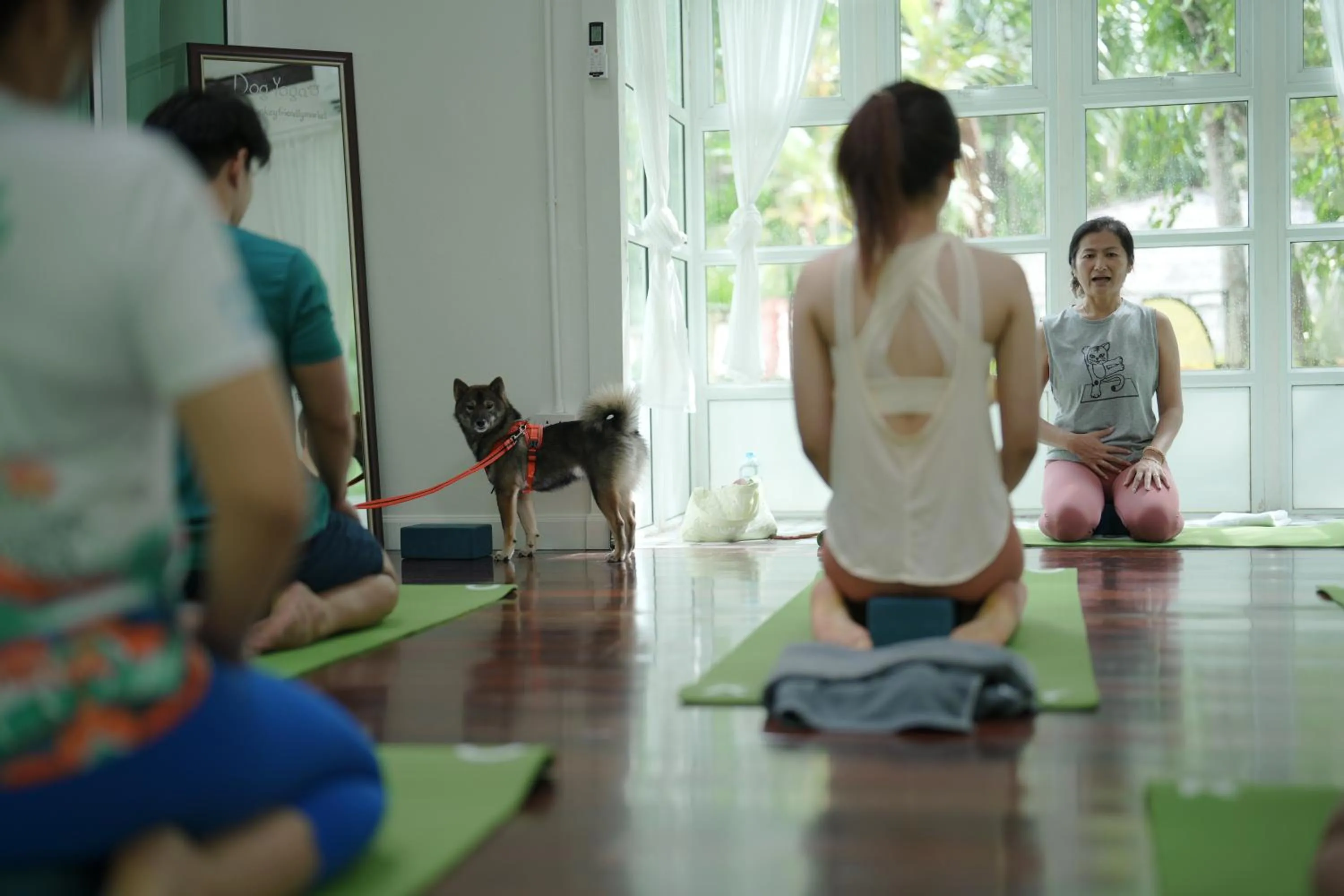 Activities in Blu Monkey Pooltara Krabi Hotel & Villas Pet Friendly