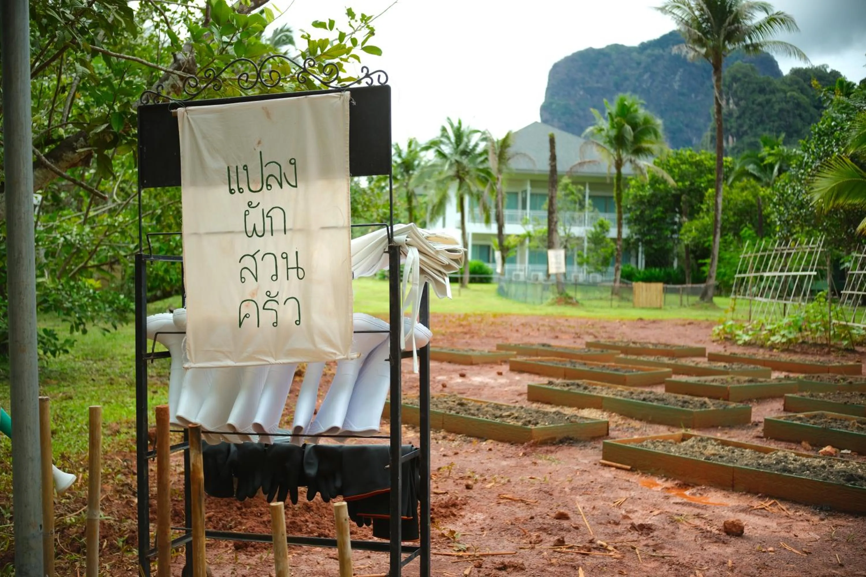 Garden in Blu Monkey Pooltara Krabi Hotel & Villas Pet Friendly