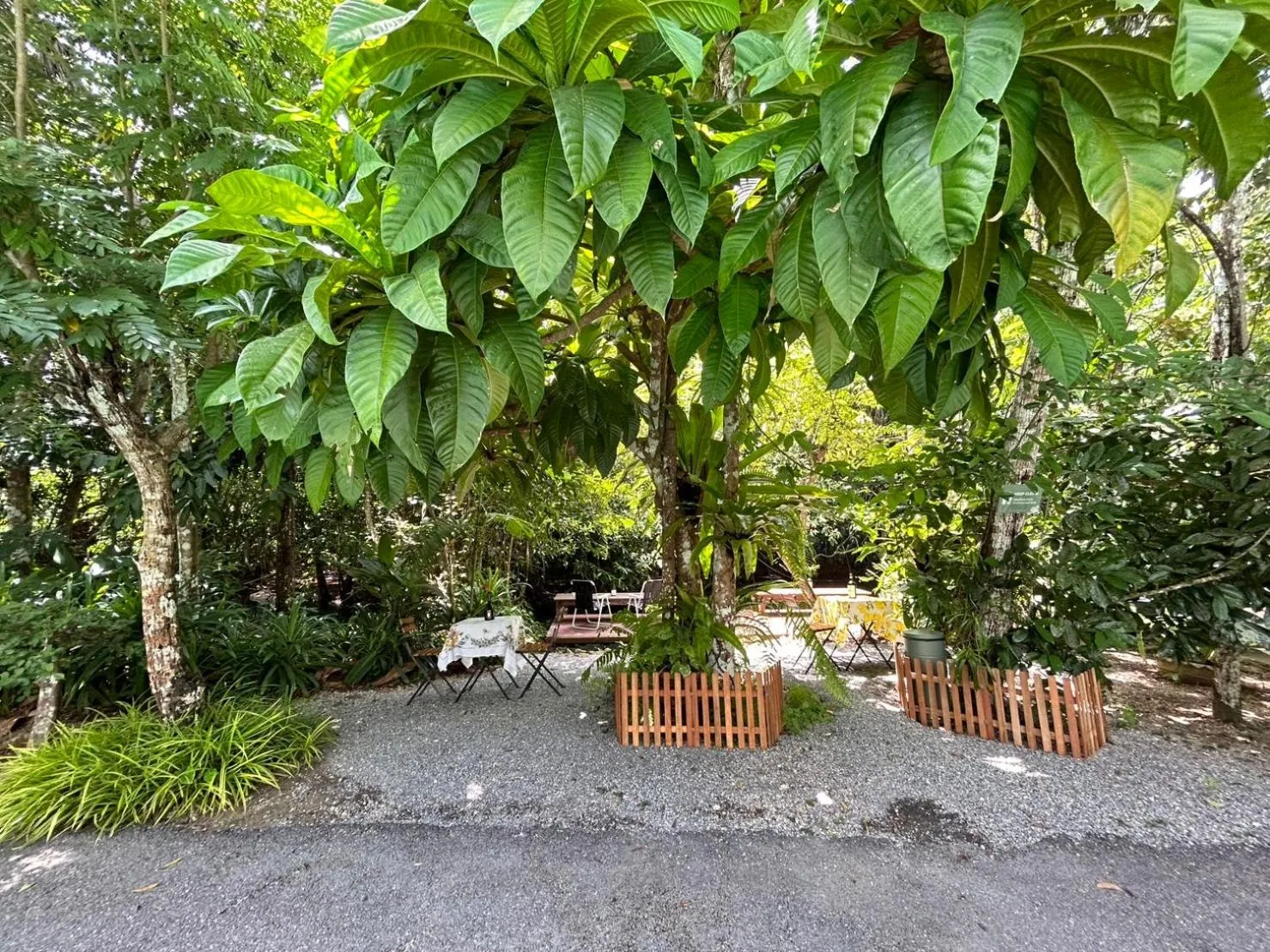 Restaurant/places to eat in Blu Monkey Pooltara Krabi Hotel & Villas Pet Friendly