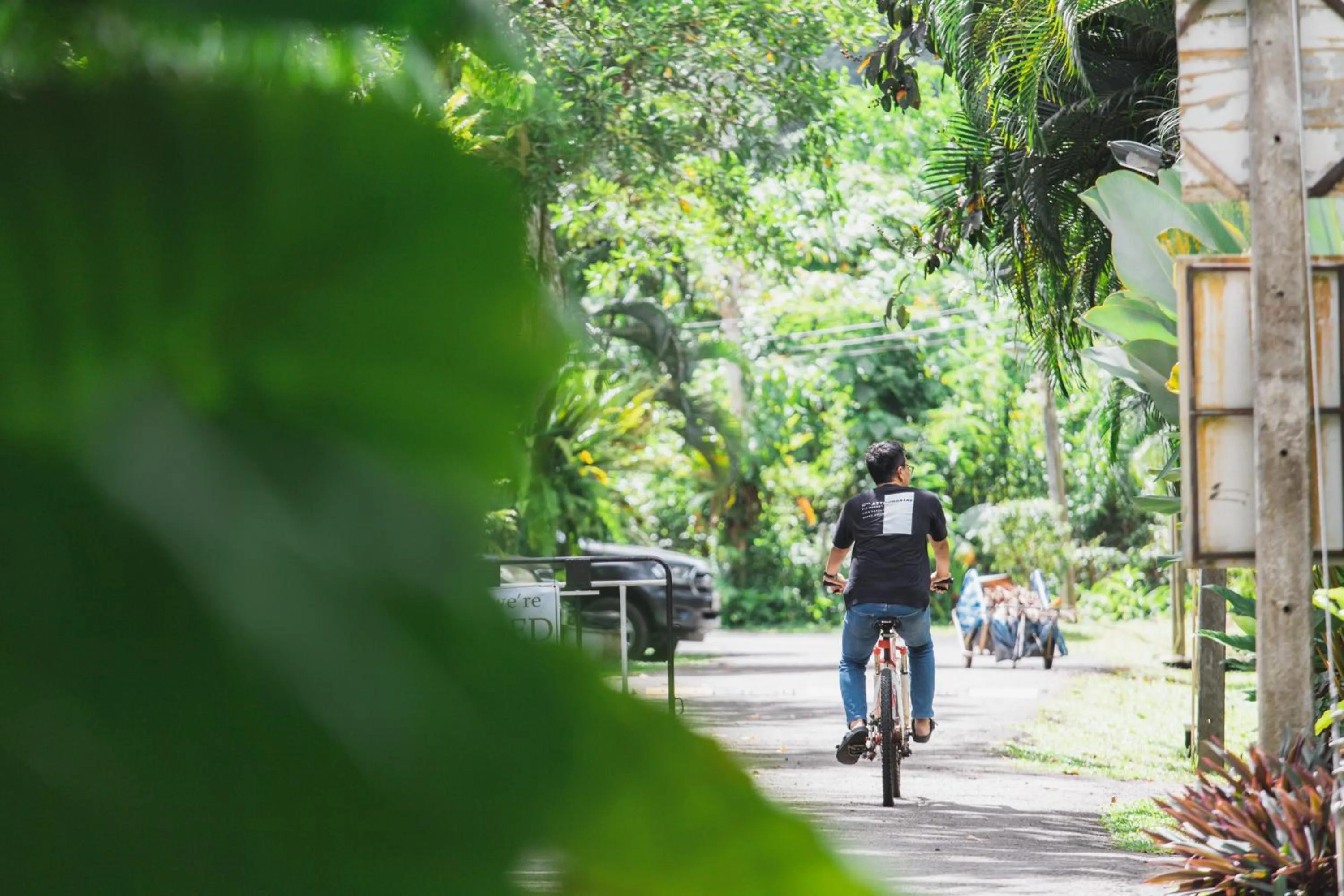 Cycling in Blu Monkey Pooltara Krabi Hotel & Villas Pet Friendly