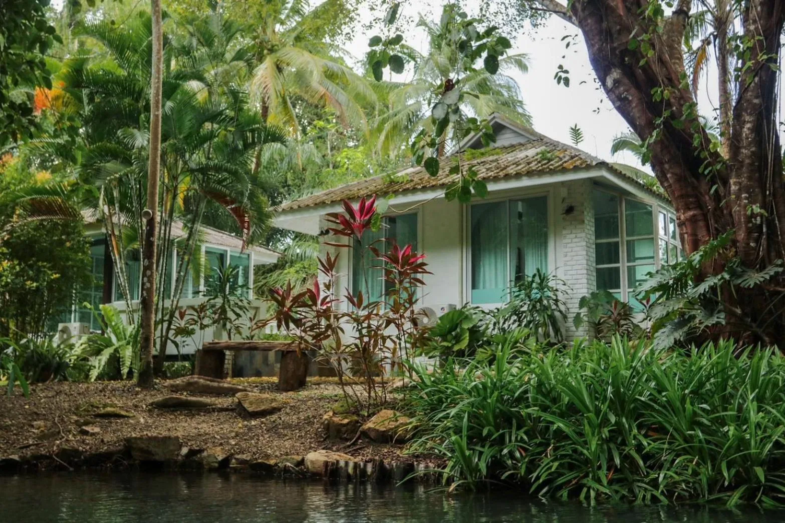 Natural landscape in Blu Monkey Pooltara Krabi Hotel & Villas Pet Friendly