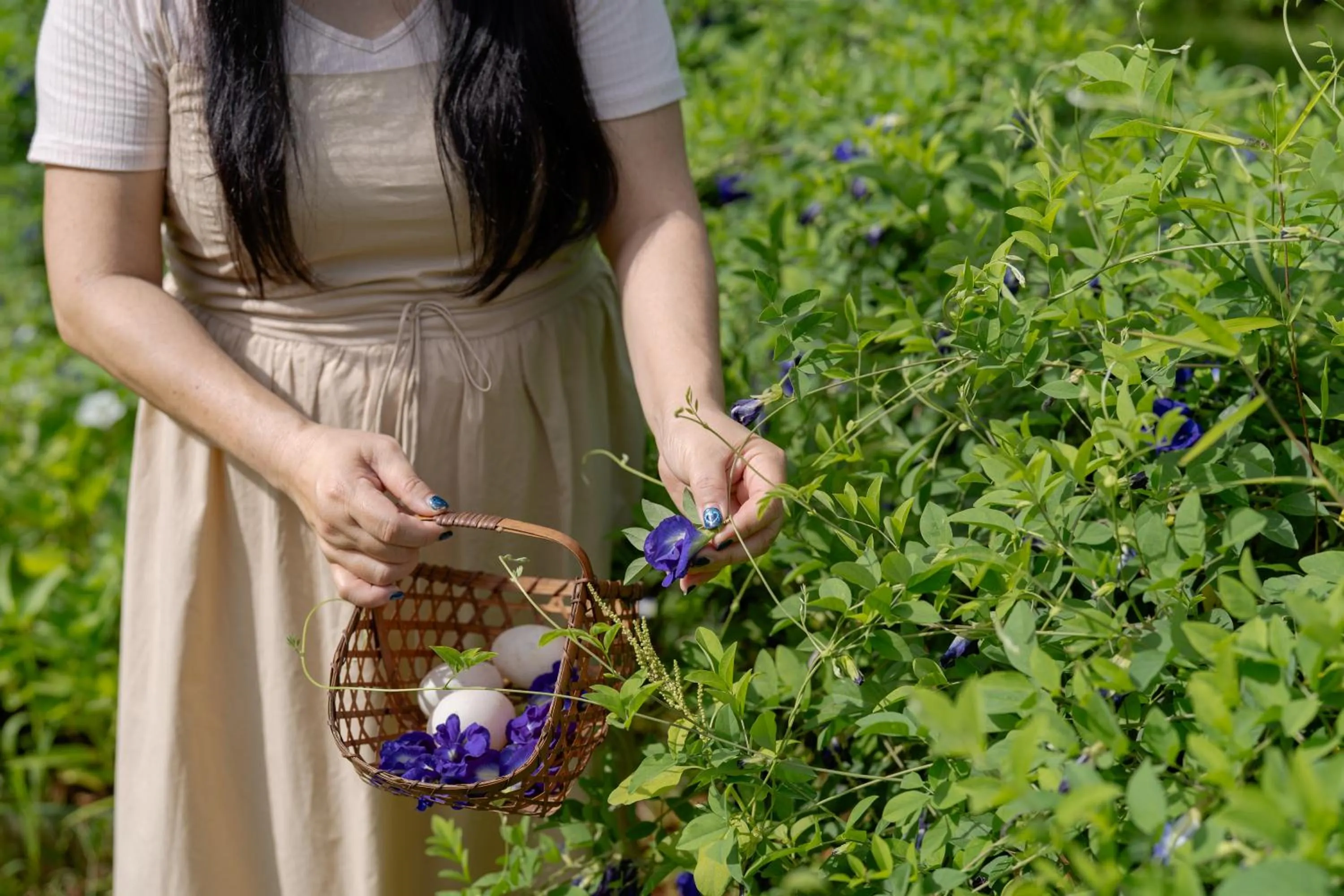 Blu Monkey Pooltara Krabi Hotel & Villas Pet Friendly