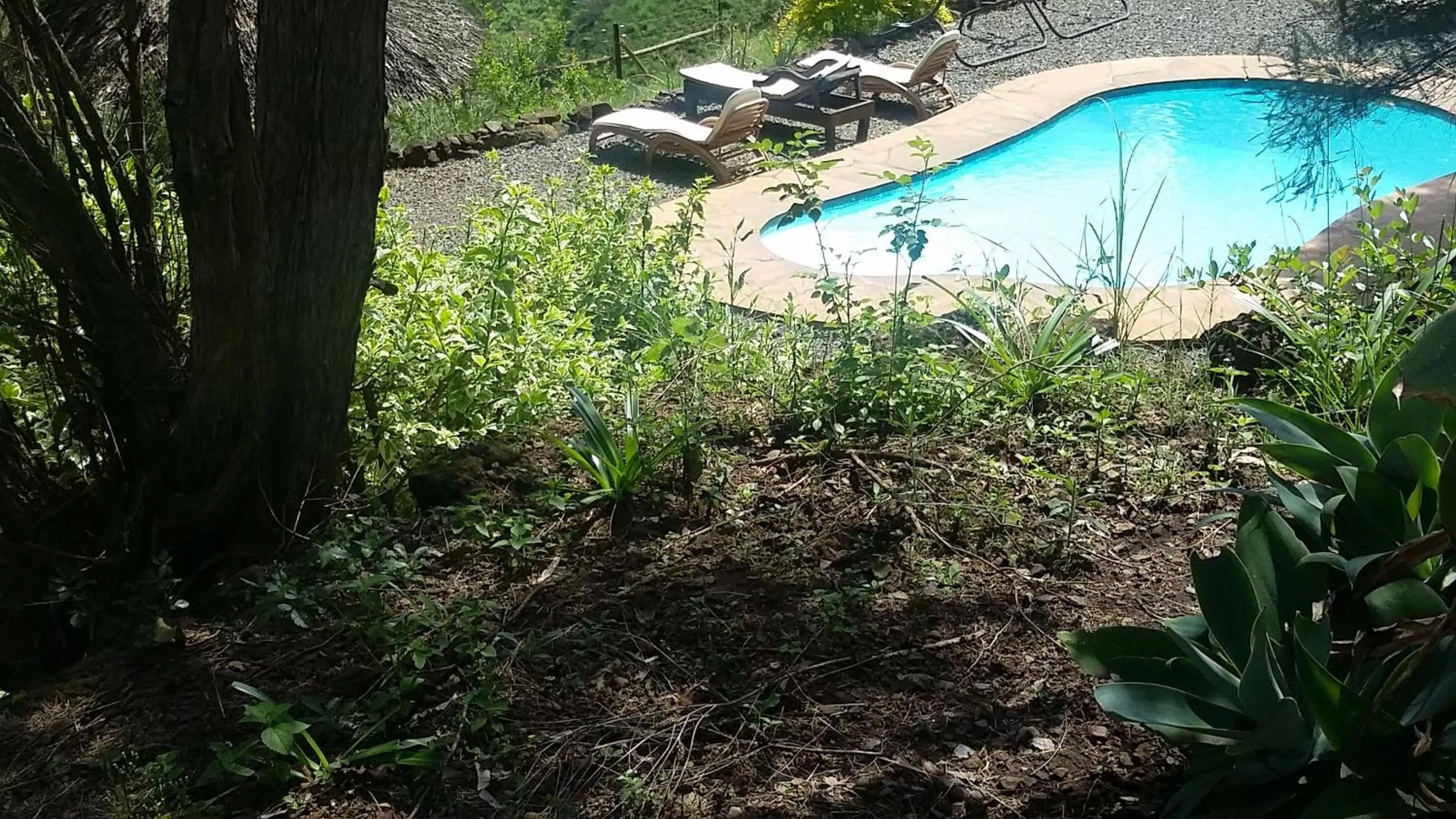 Pool view in Maili Saba Camp