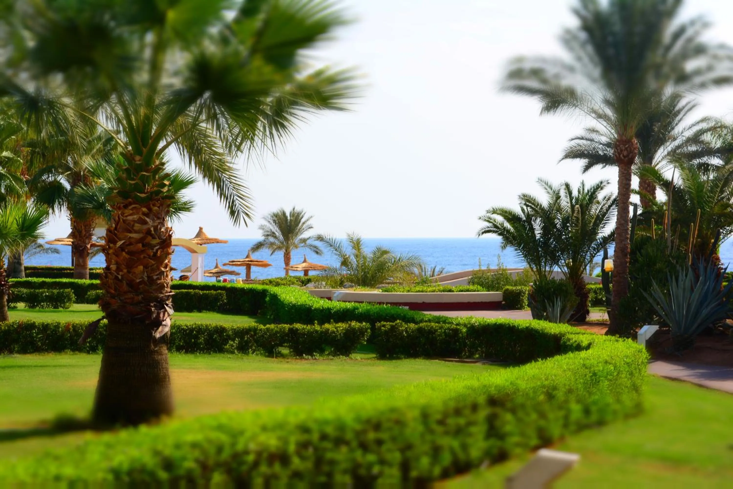 Garden view in Royal Monte-Carlo Sharm Resort & SPA