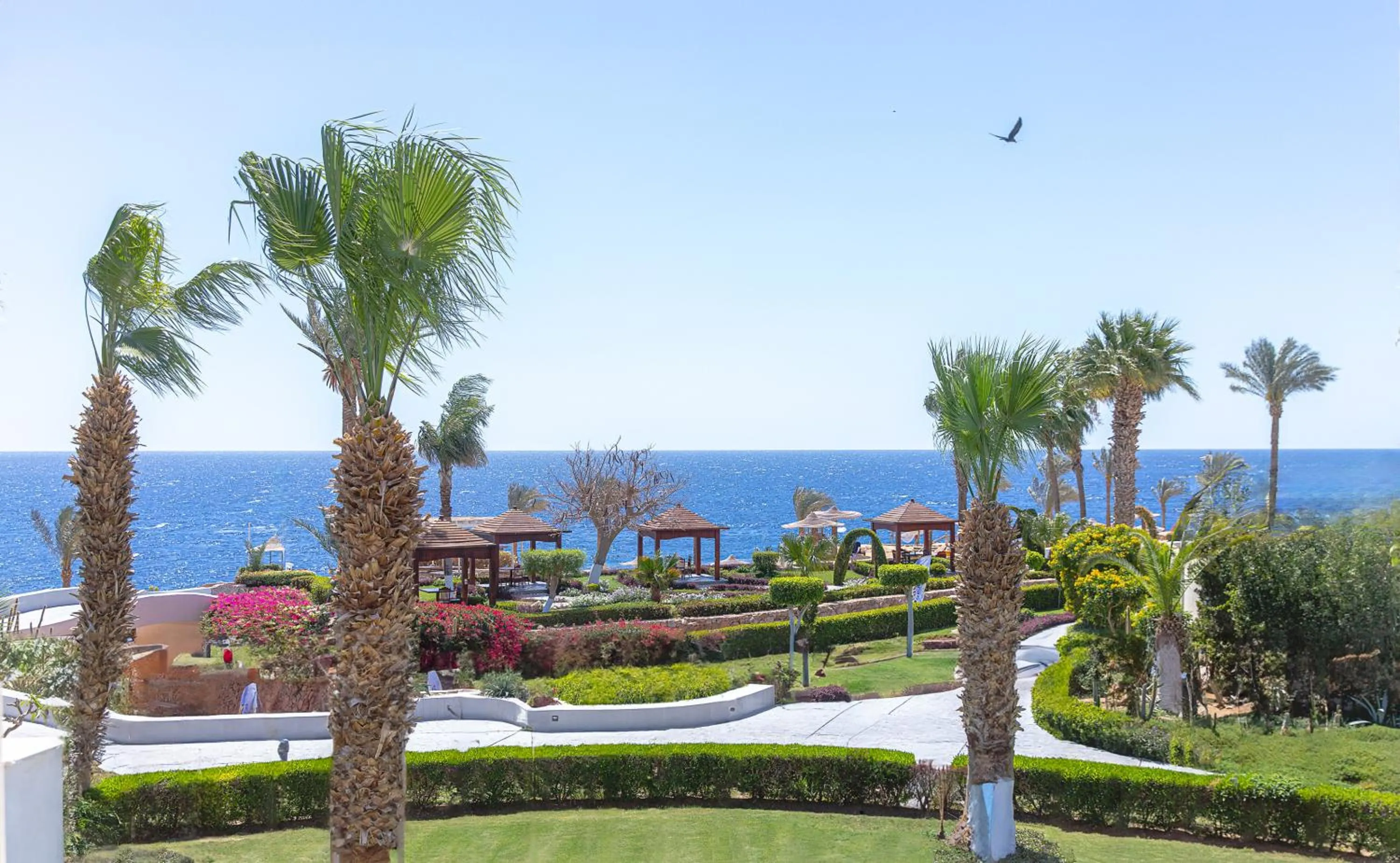 Day in Royal Monte-Carlo Sharm Resort & SPA