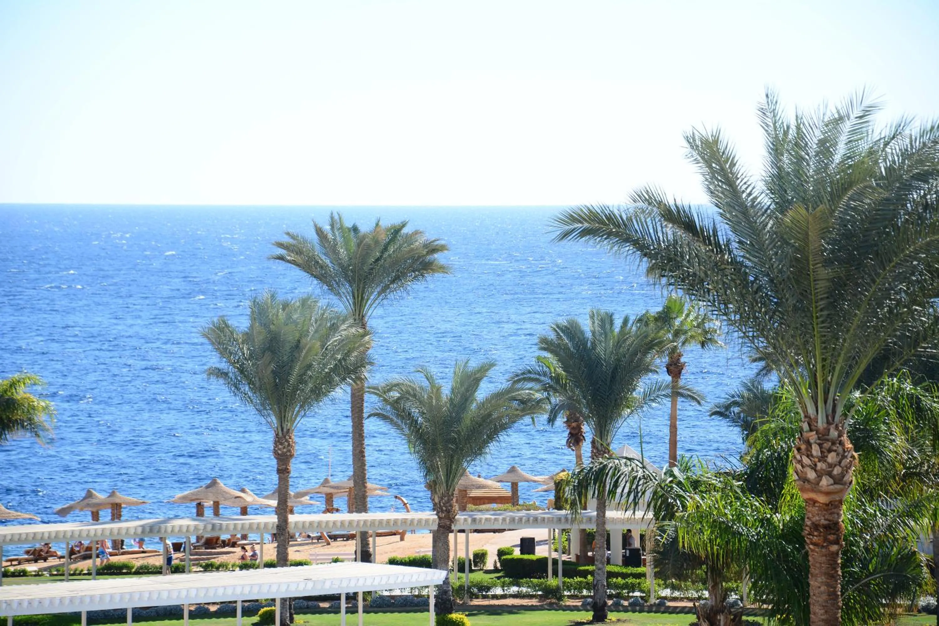 Beach in Royal Monte-Carlo Sharm Resort & SPA