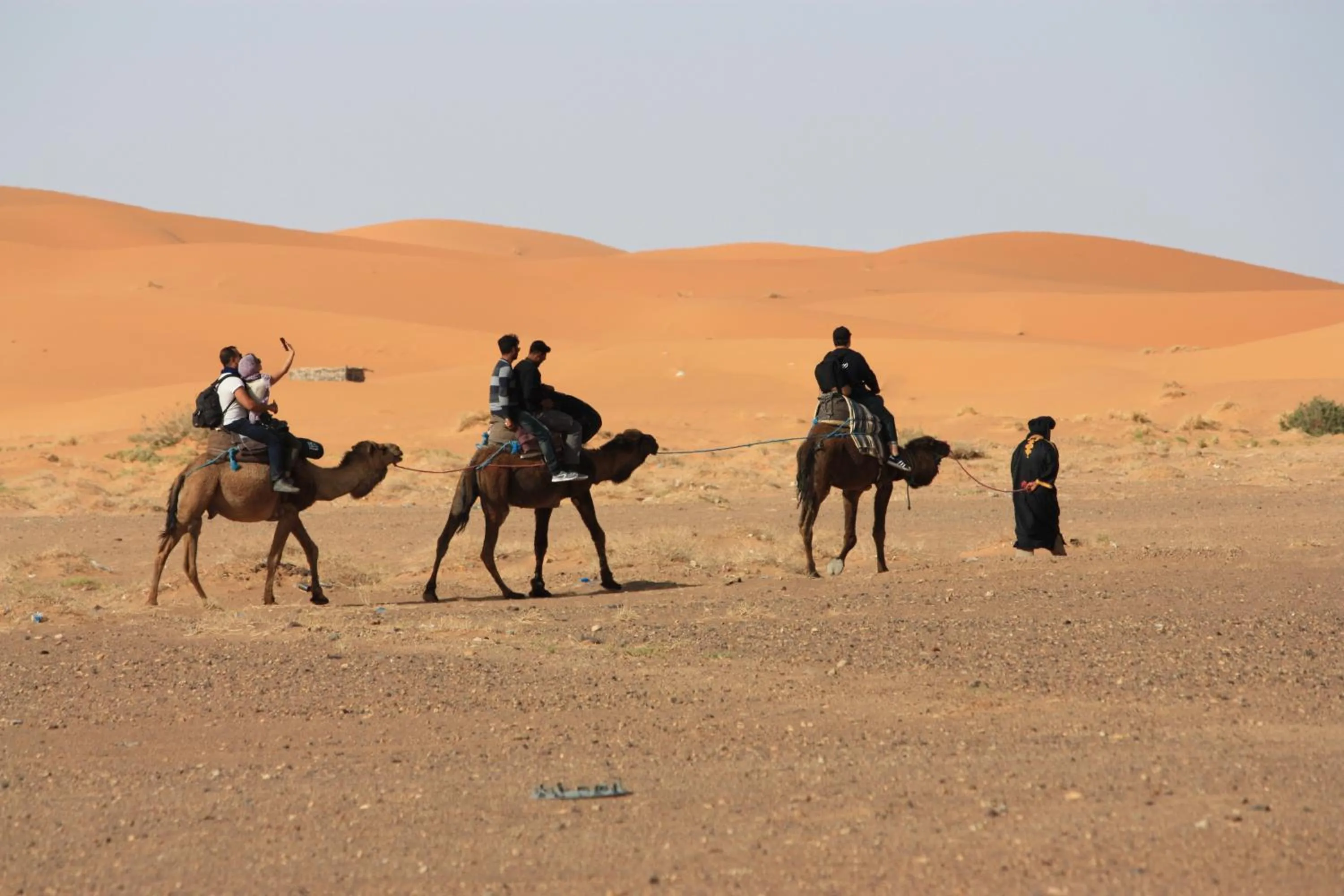 Horse-riding in Kasbah Du Berger & Piscine