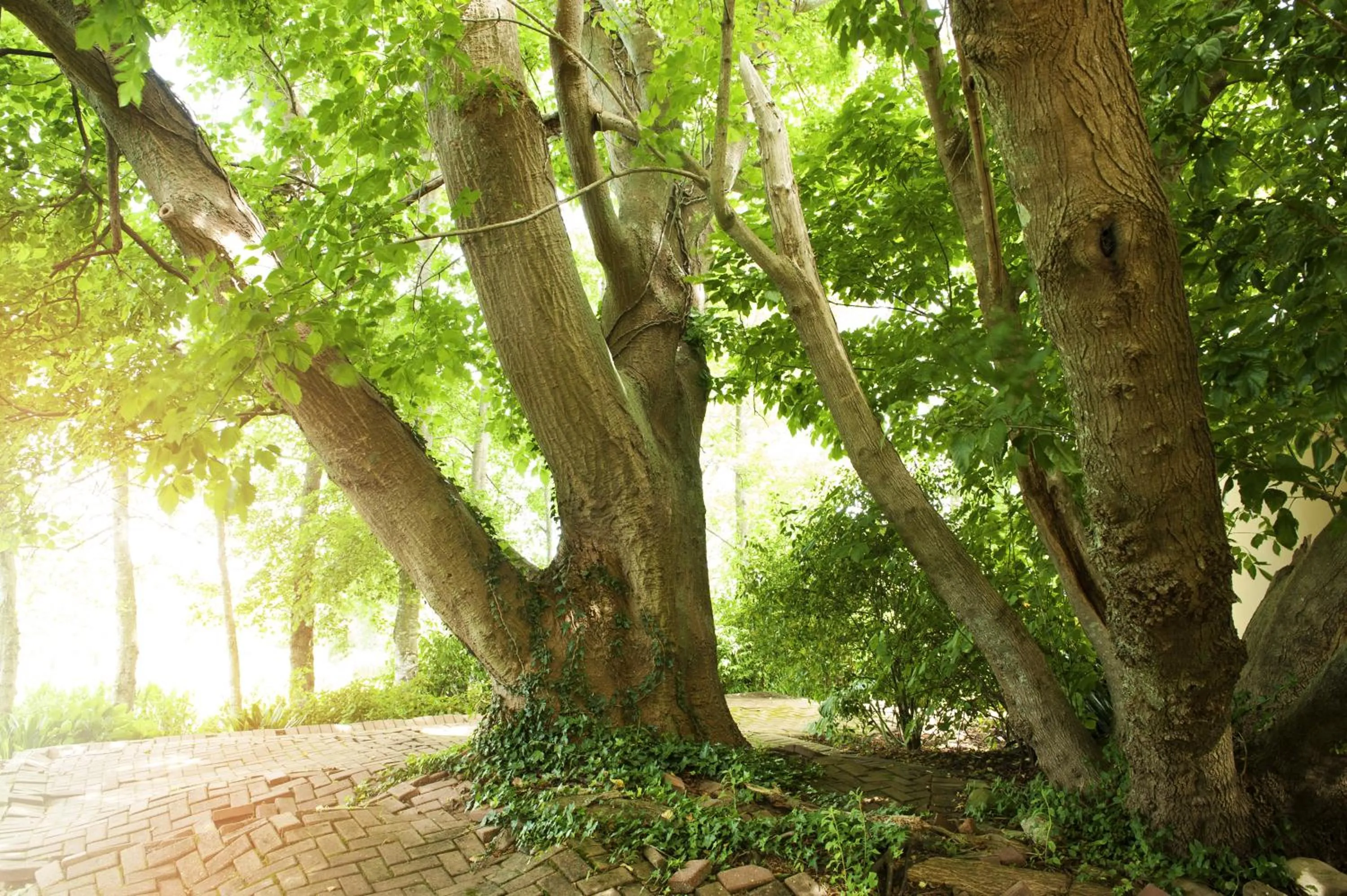 Garden in ArendsRus Country Resort