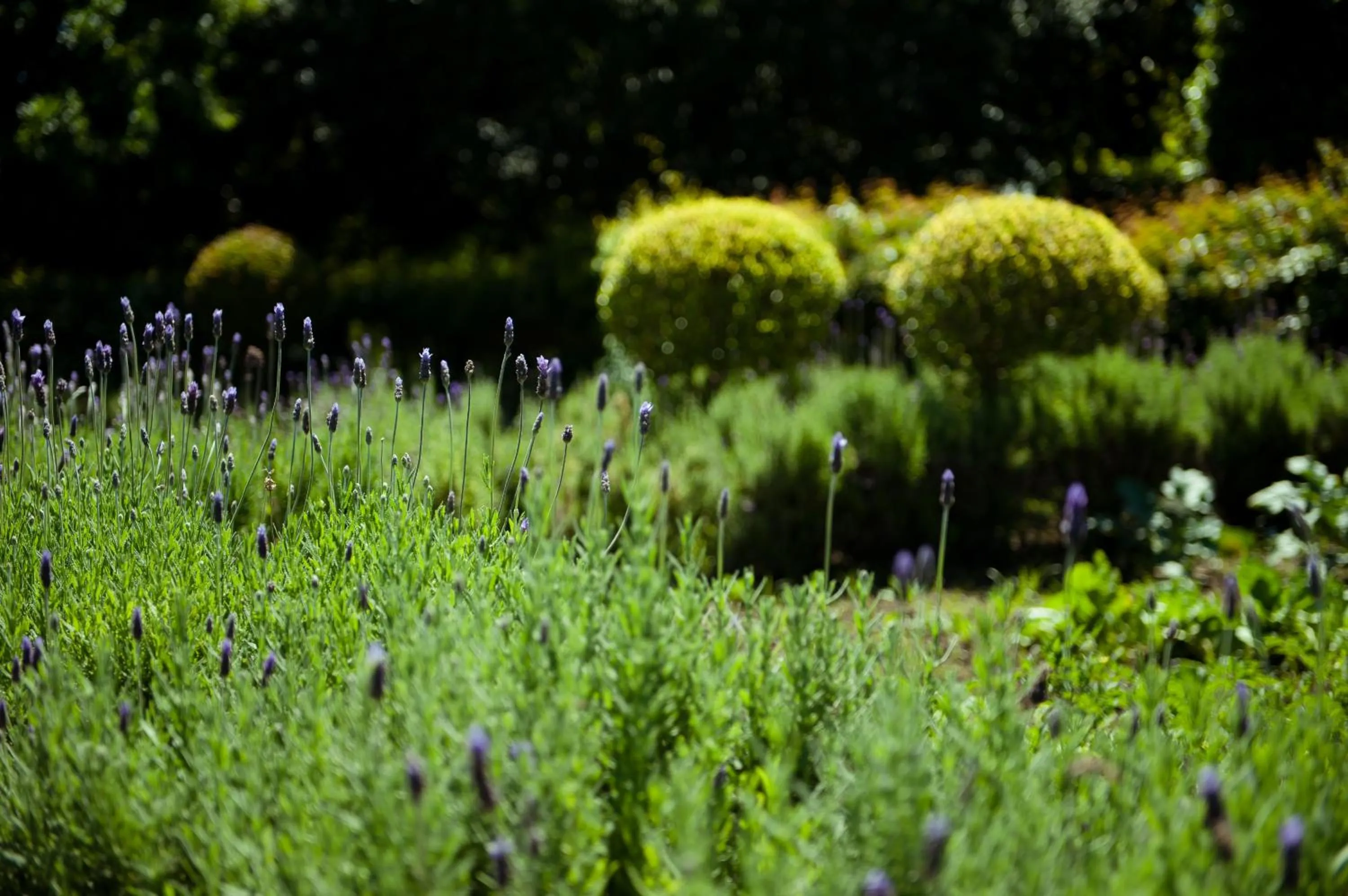 Garden in ArendsRus Country Resort