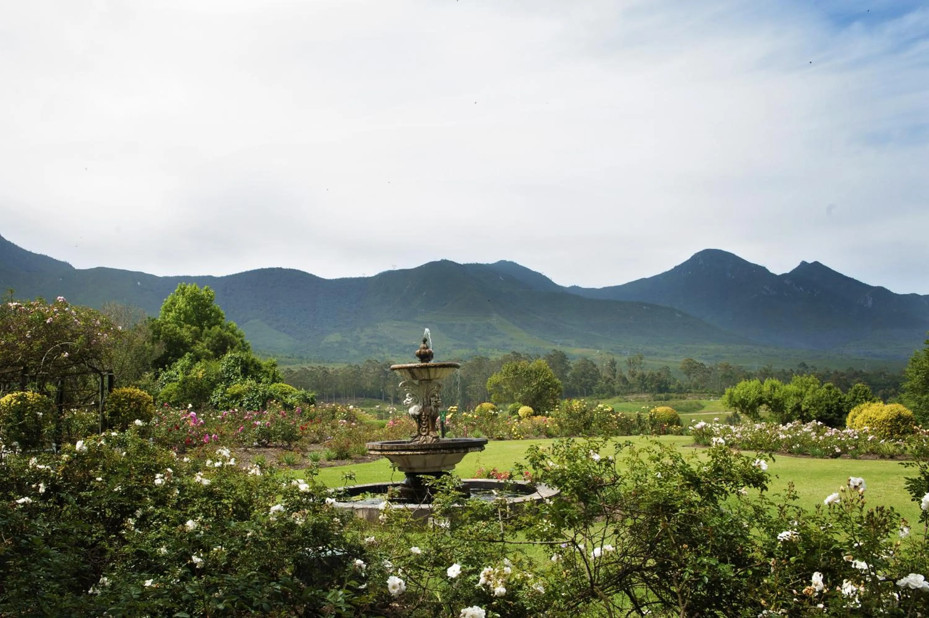 Natural landscape in ArendsRus Country Resort