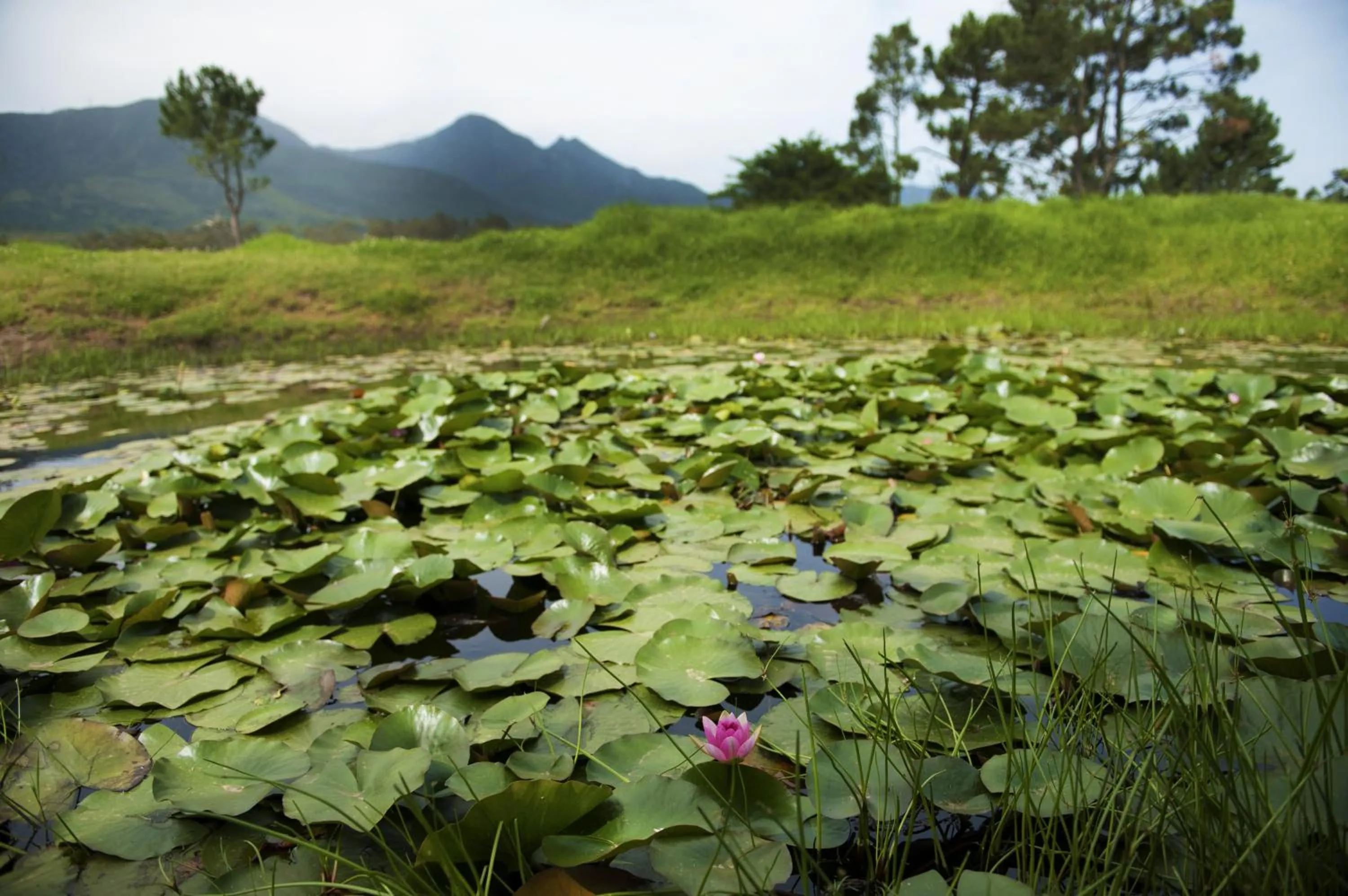 Garden in ArendsRus Country Resort