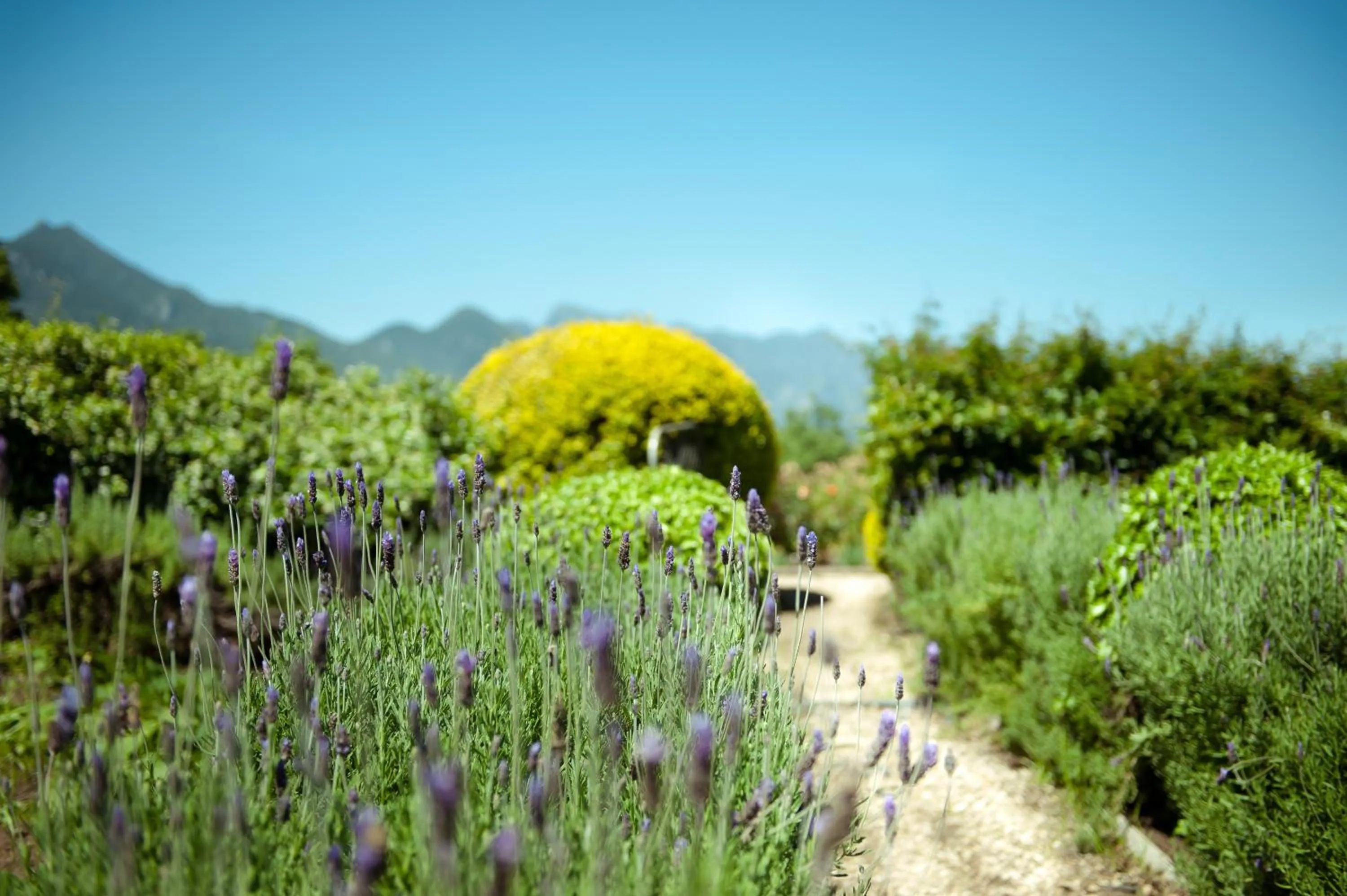 Garden in ArendsRus Country Resort