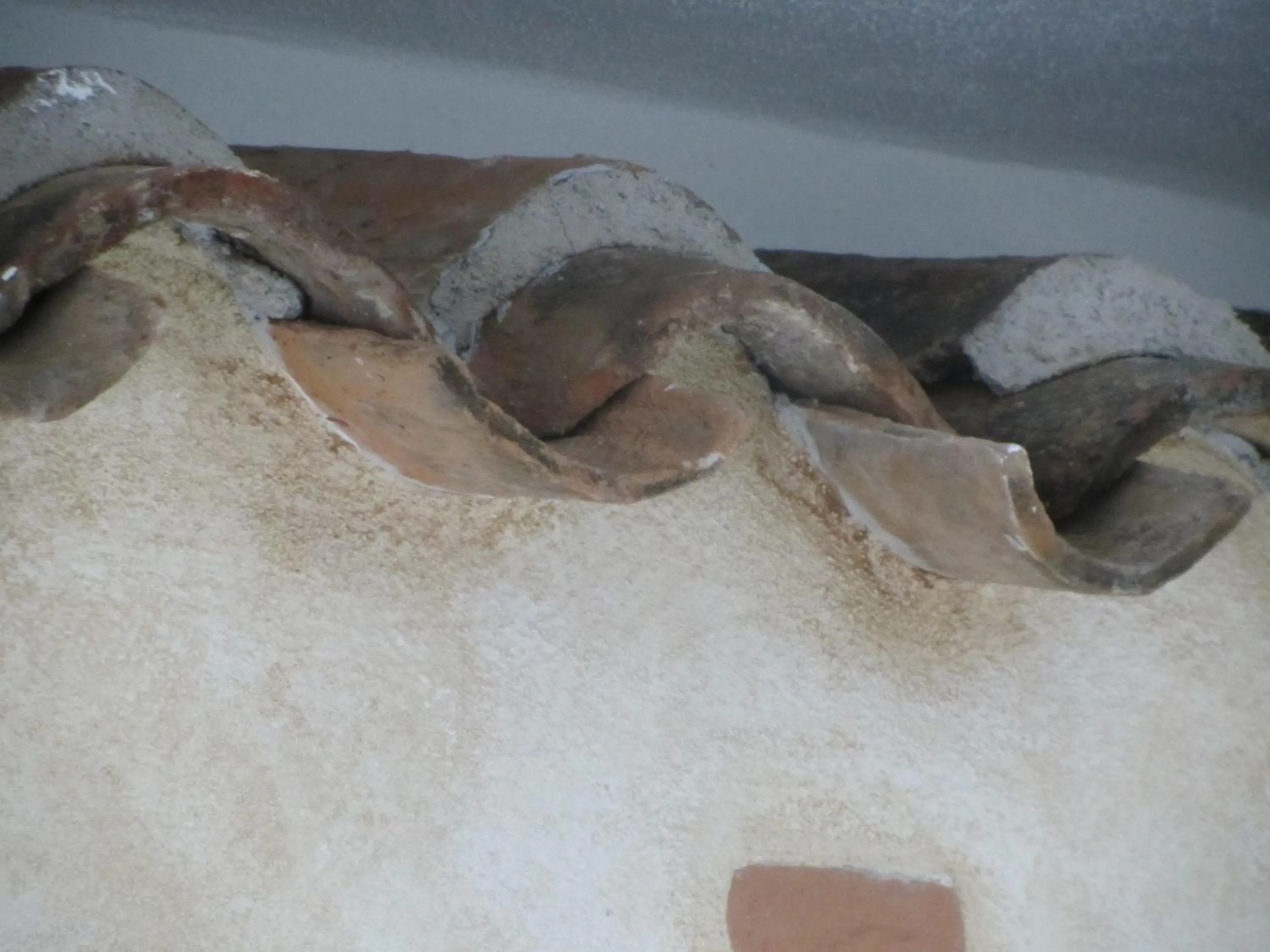 Decorative detail in Faunele