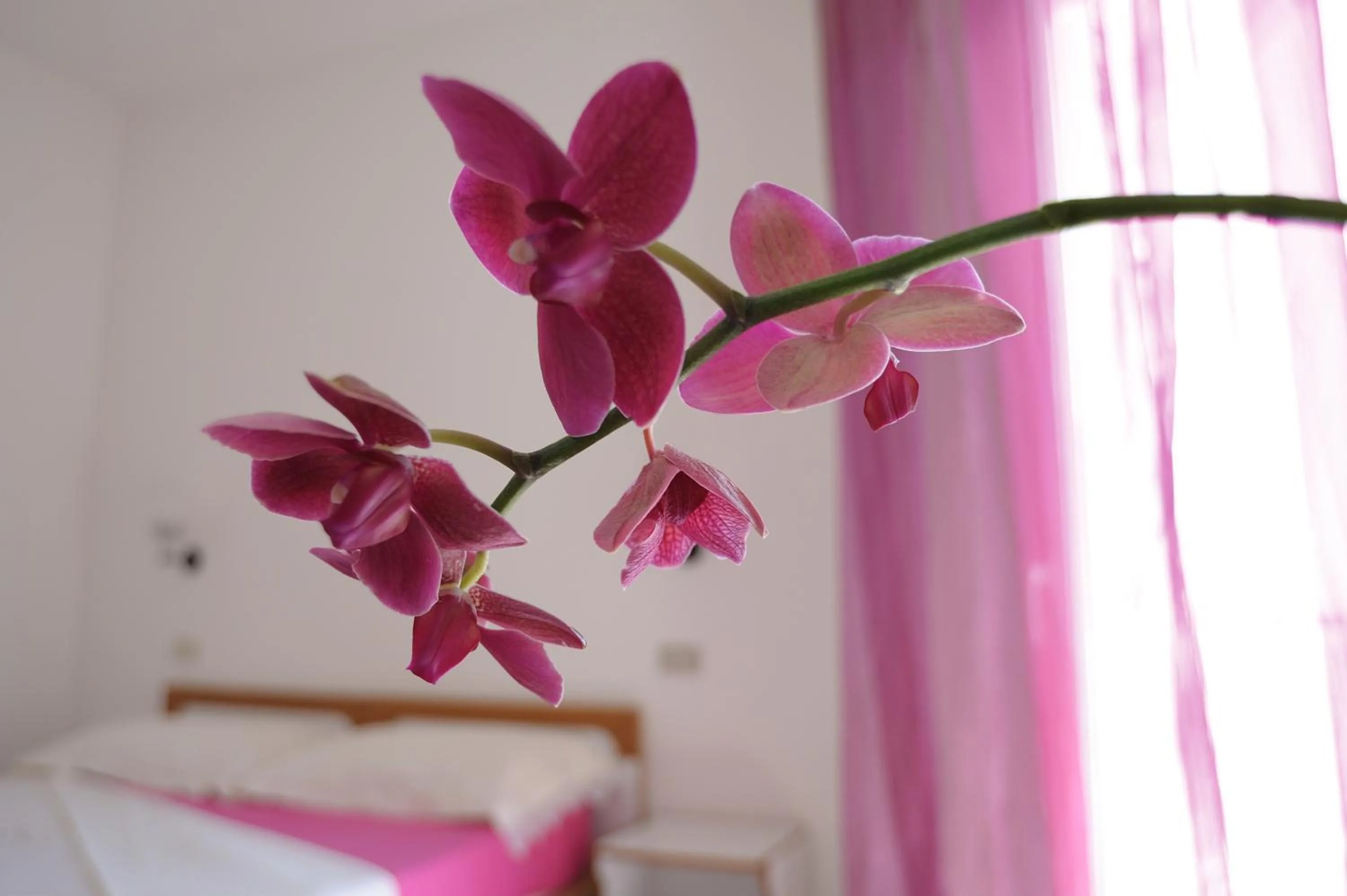 Other, Bed in SoleMare Hotel e Residence