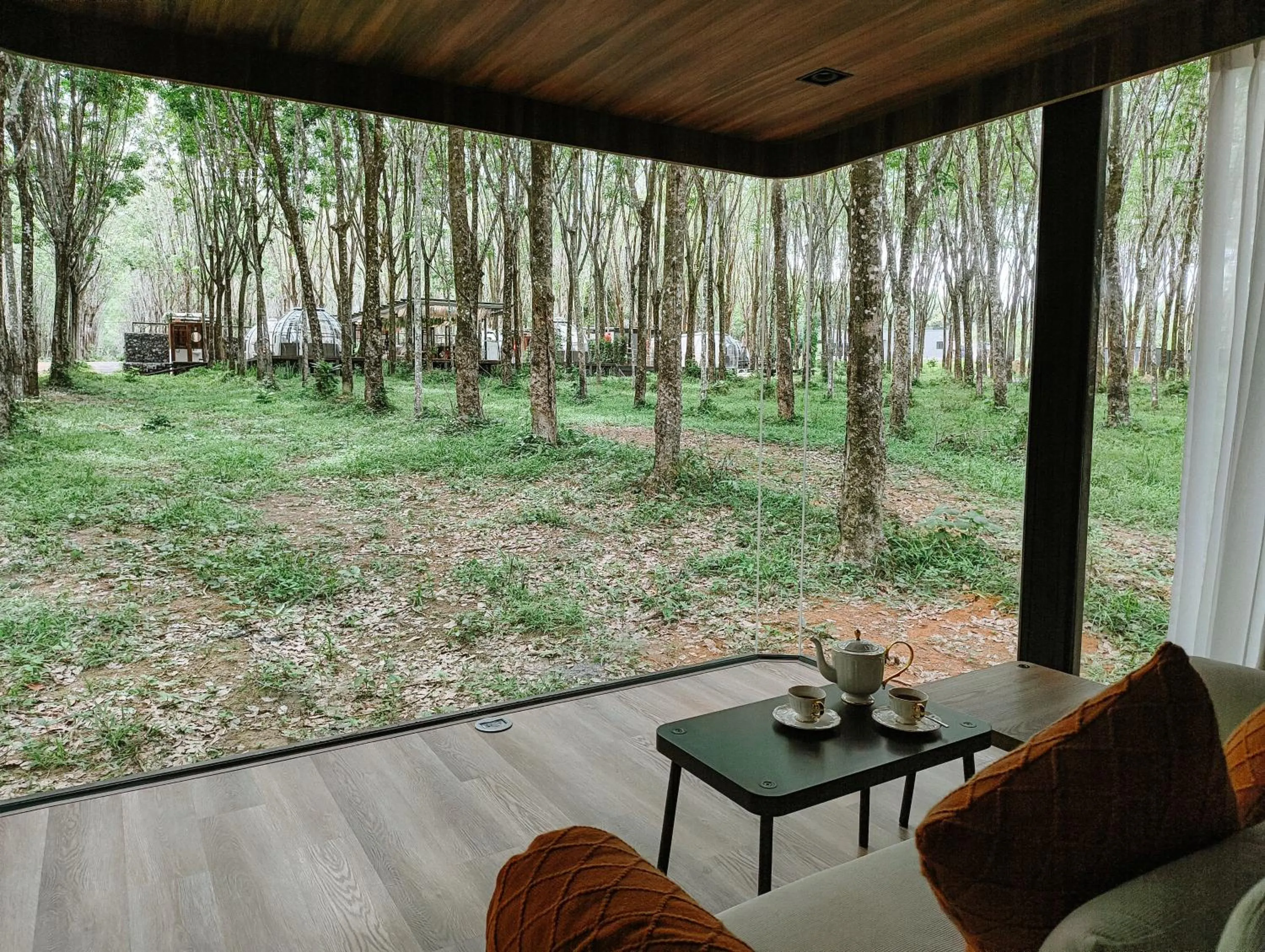 Day in Timber Society Boutique Hideaway