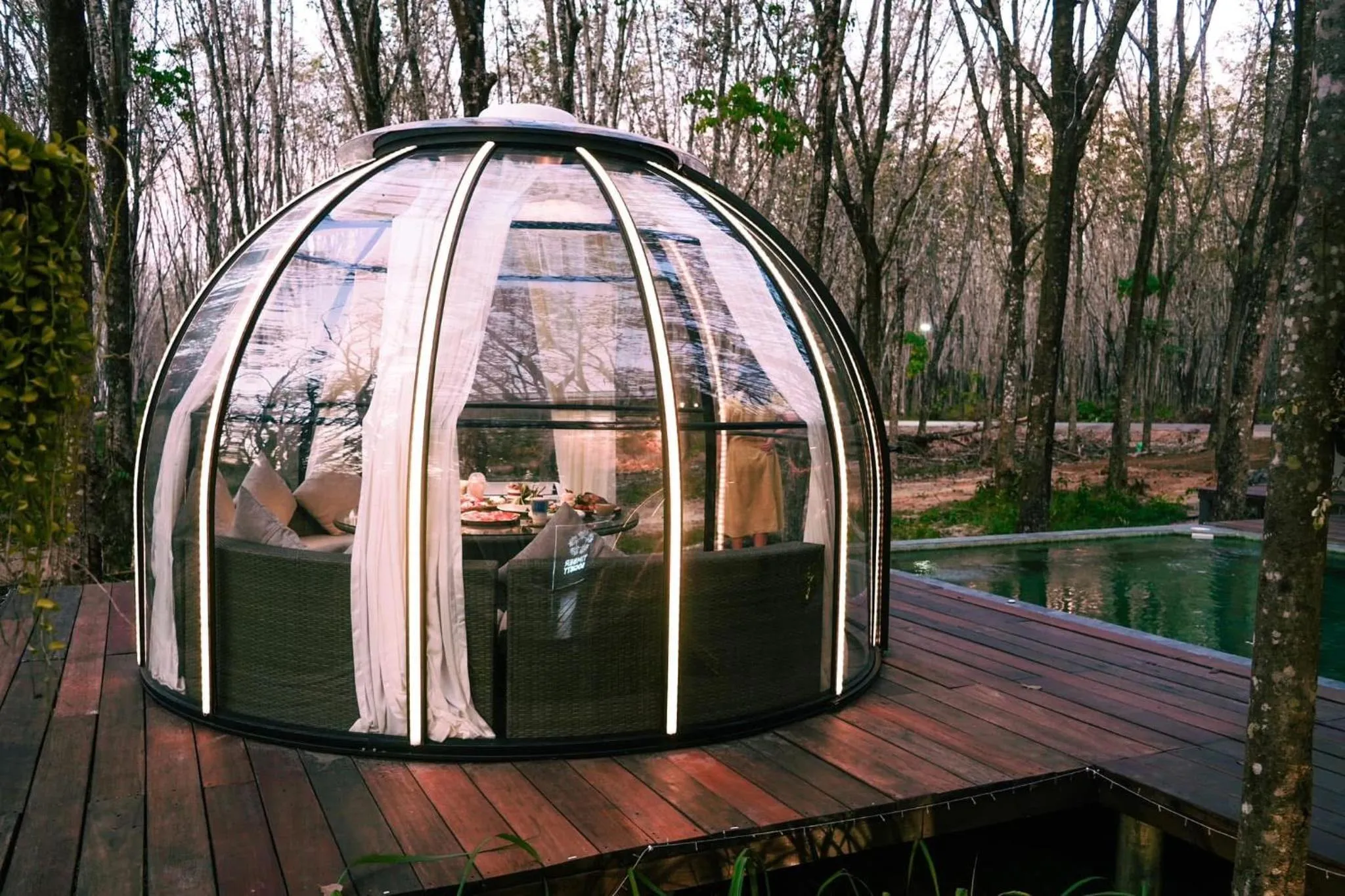 Natural landscape in Timber Society Boutique Hideaway