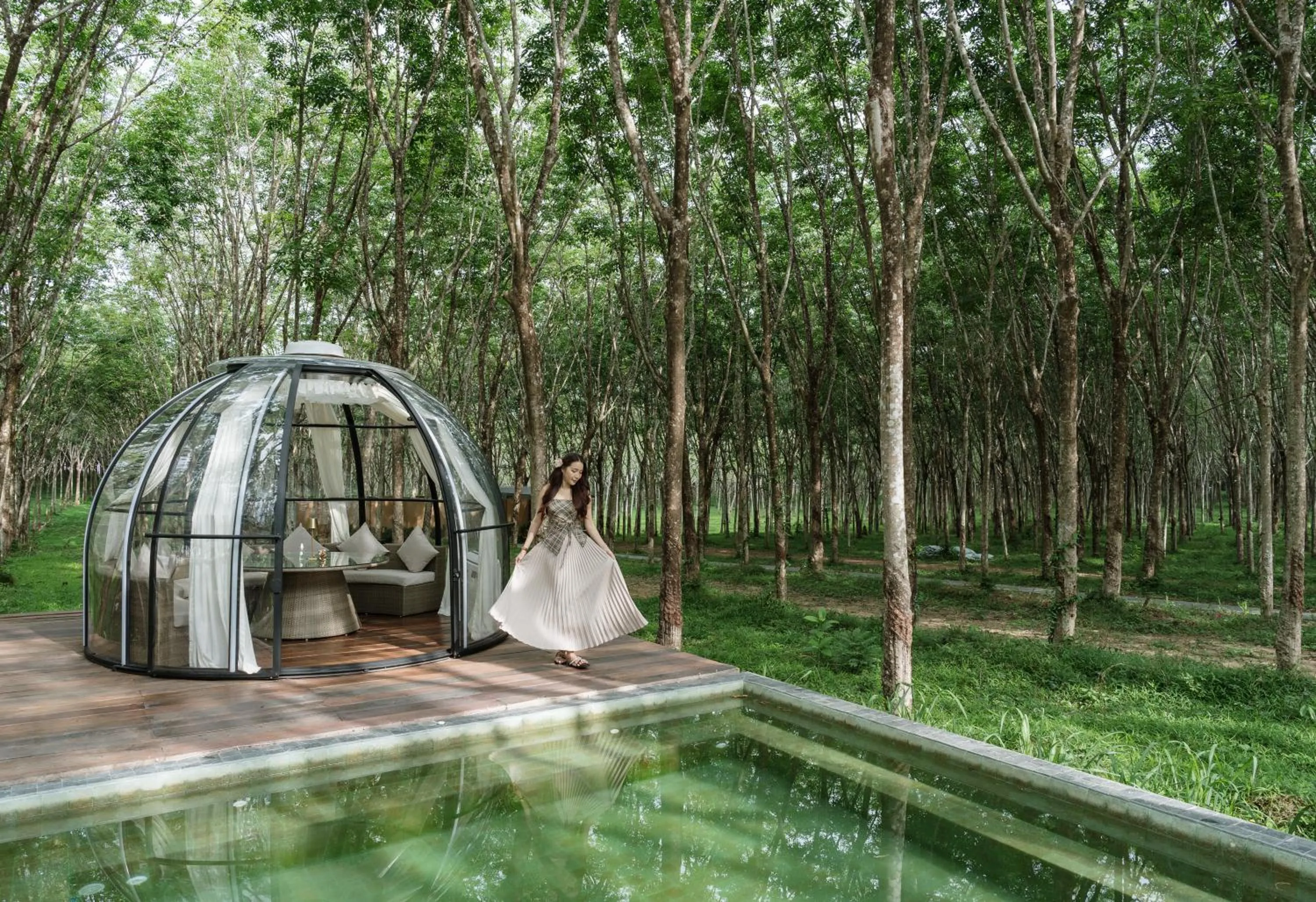 Natural landscape in Timber Society Boutique Hideaway