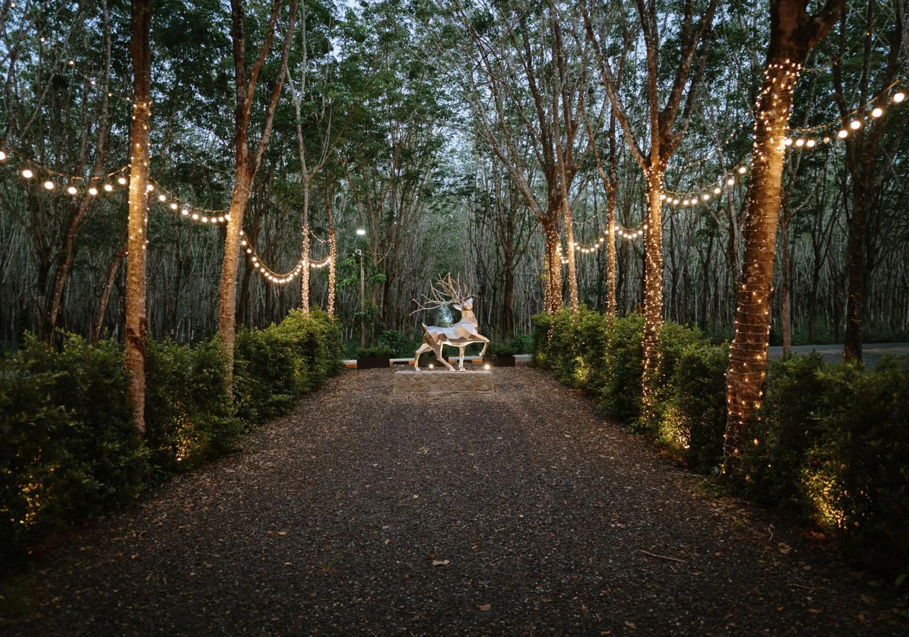 Natural landscape in Timber Society Boutique Hideaway