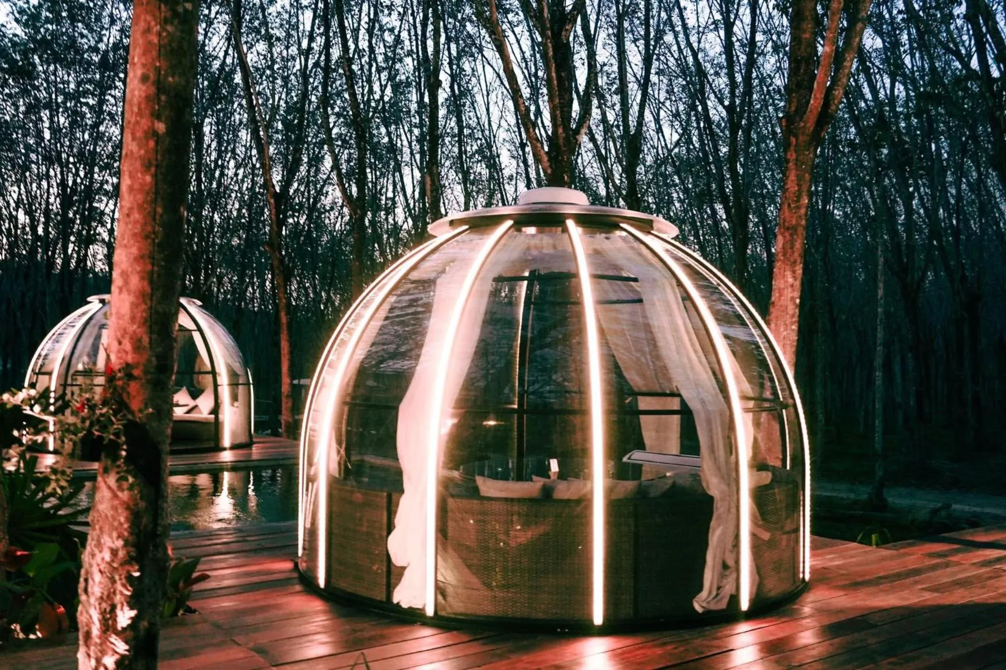 Natural landscape in Timber Society Boutique Hideaway