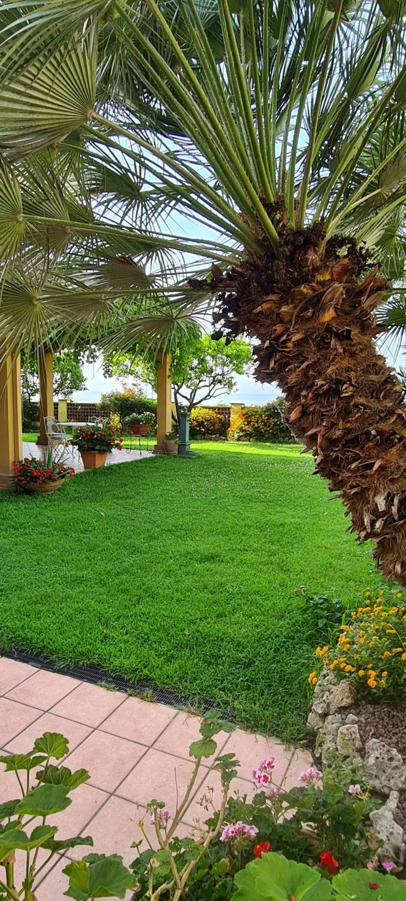 Garden in Villa Olga B&B